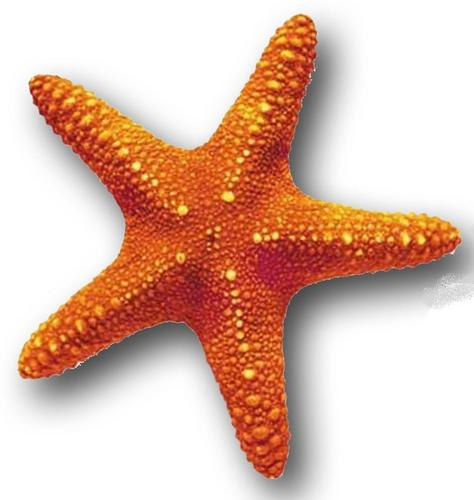 user avatar image for Frizzles