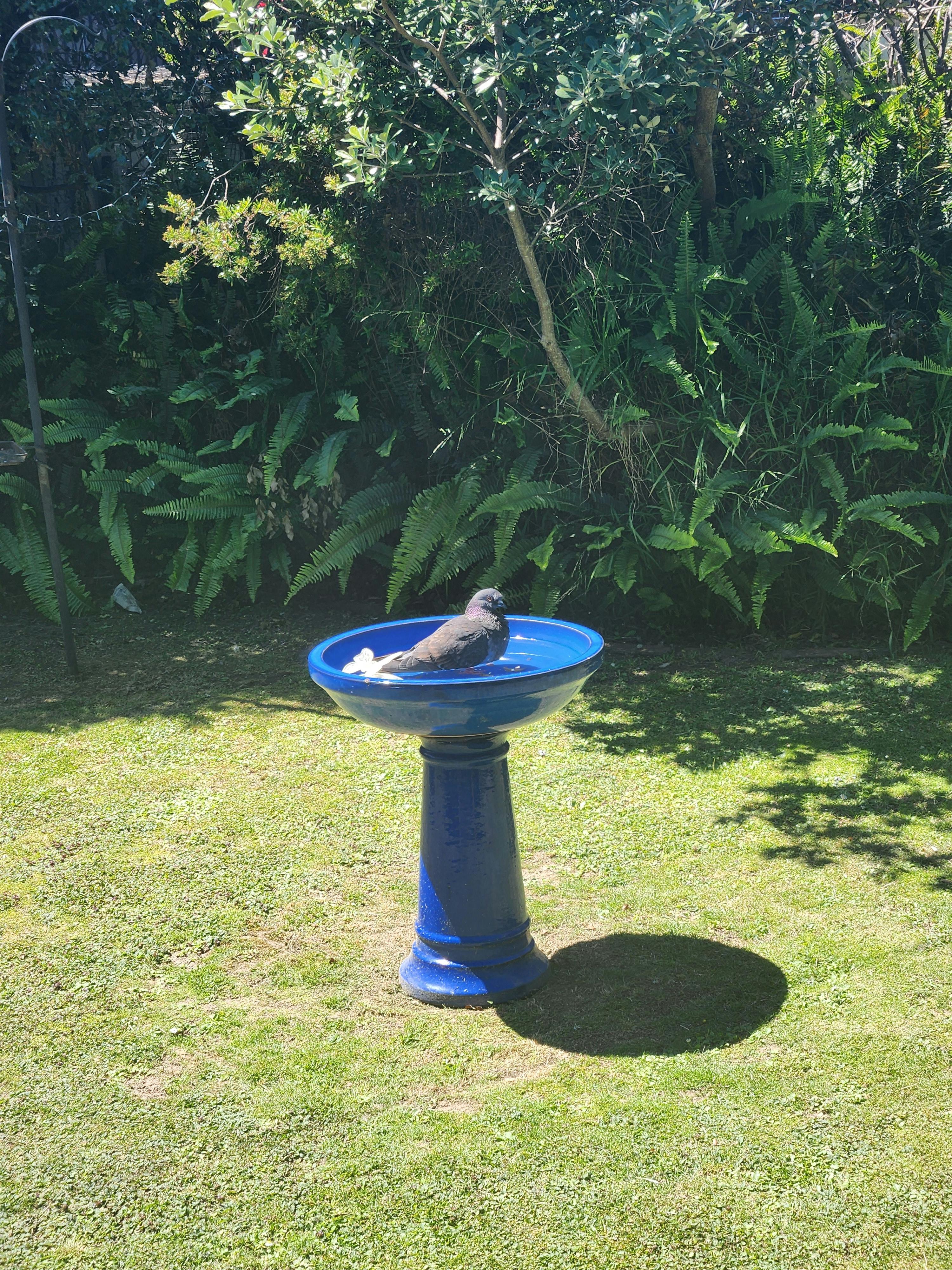 user avatar image for The 19th Ravenspine