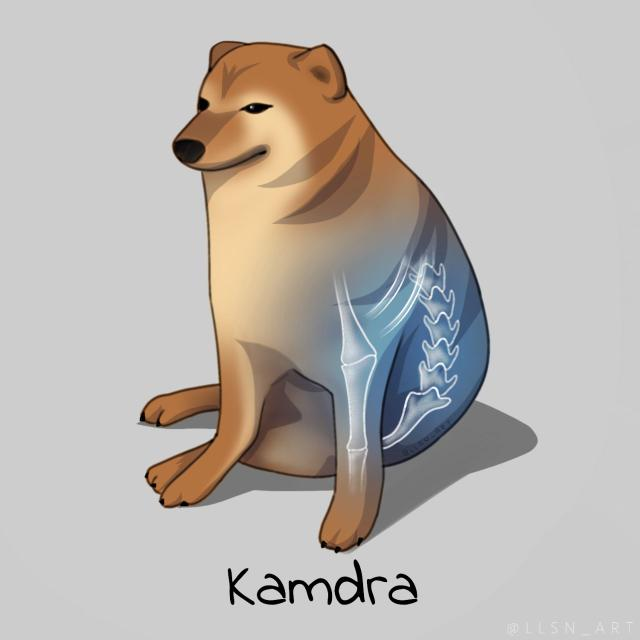 user avatar image for Juan Alejandro Torres Martínez