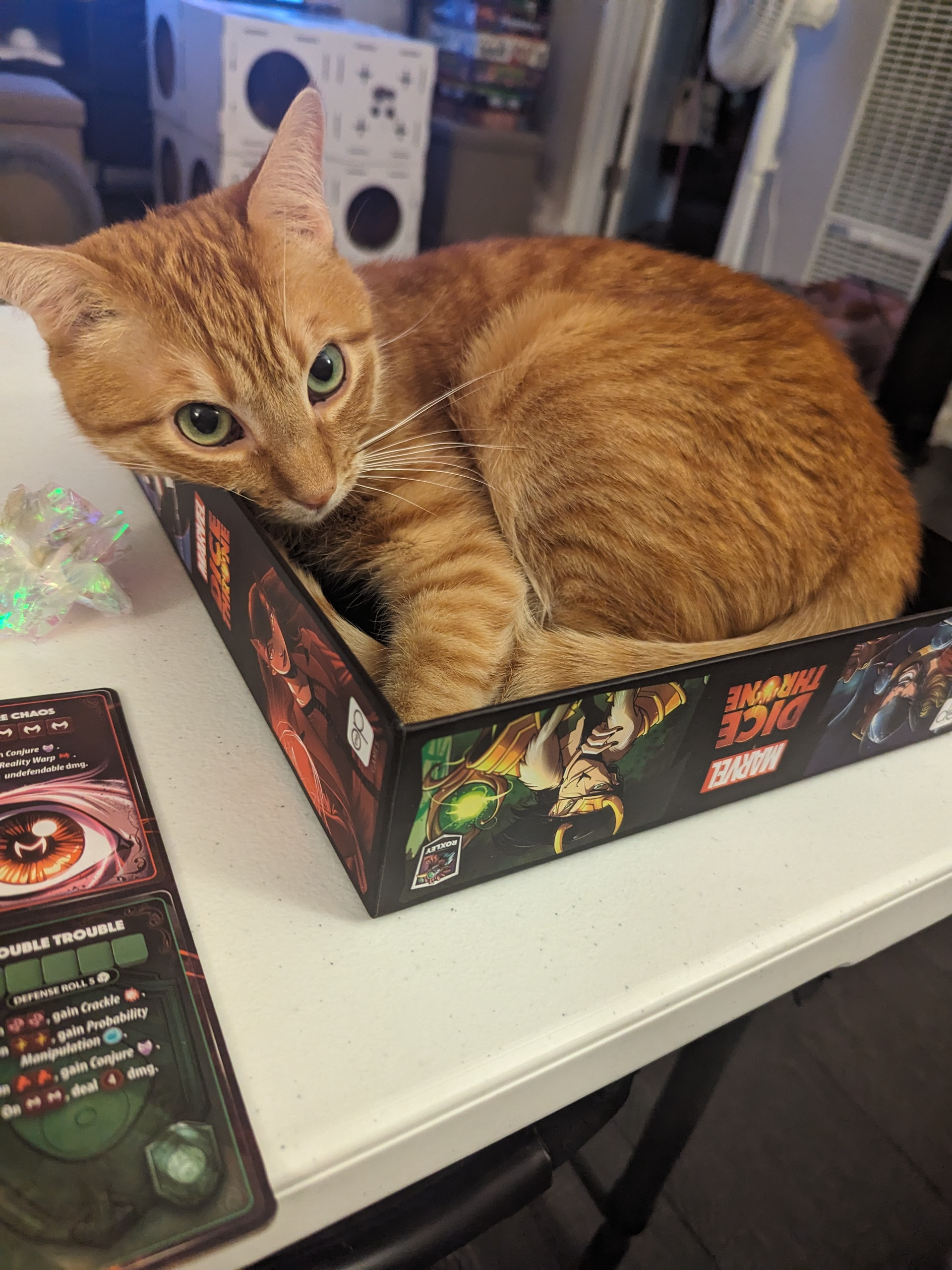 user avatar image for 580138papaya