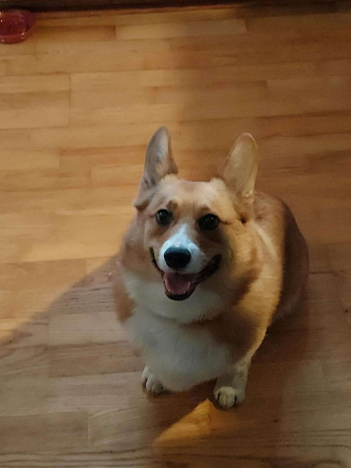 user avatar image for James Flanagan