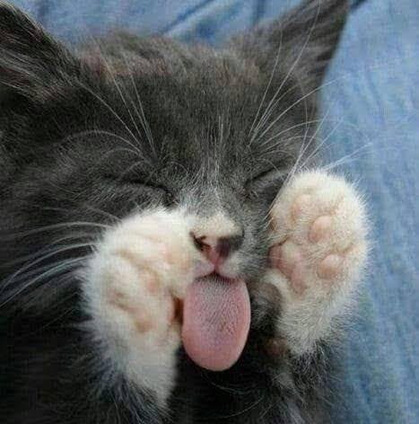 user avatar image for ComfortablyNumb