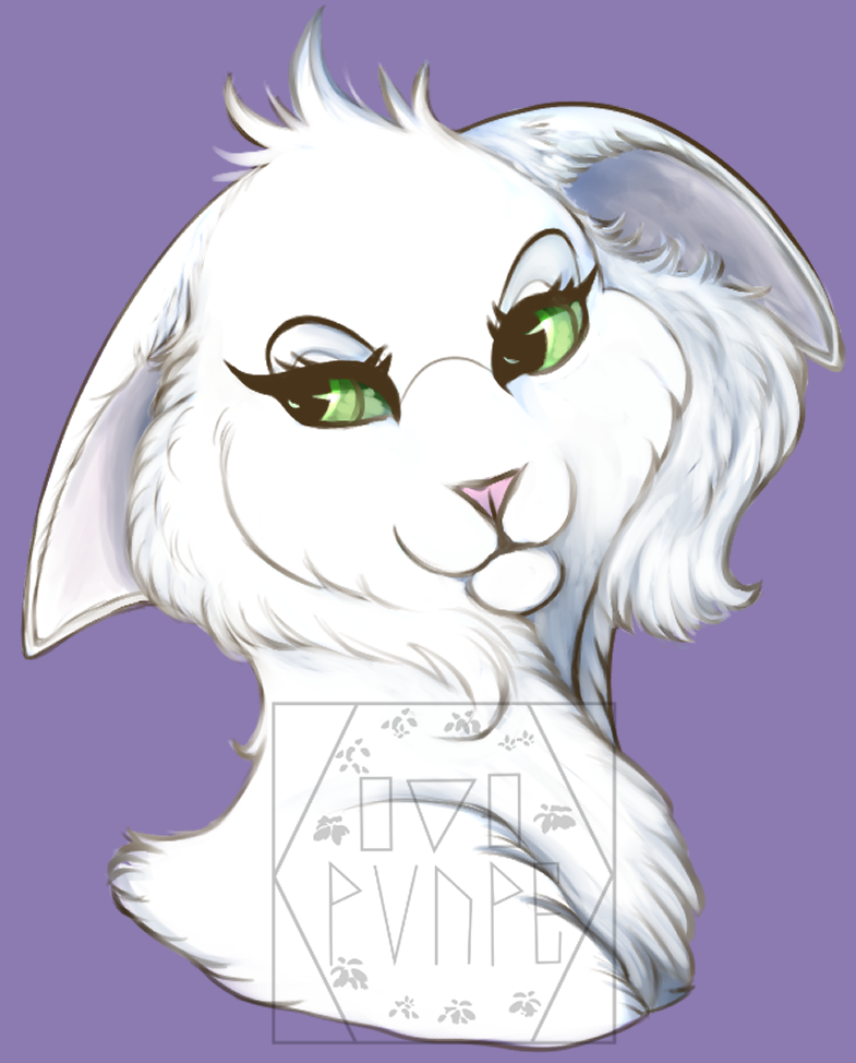 user avatar image for Aster