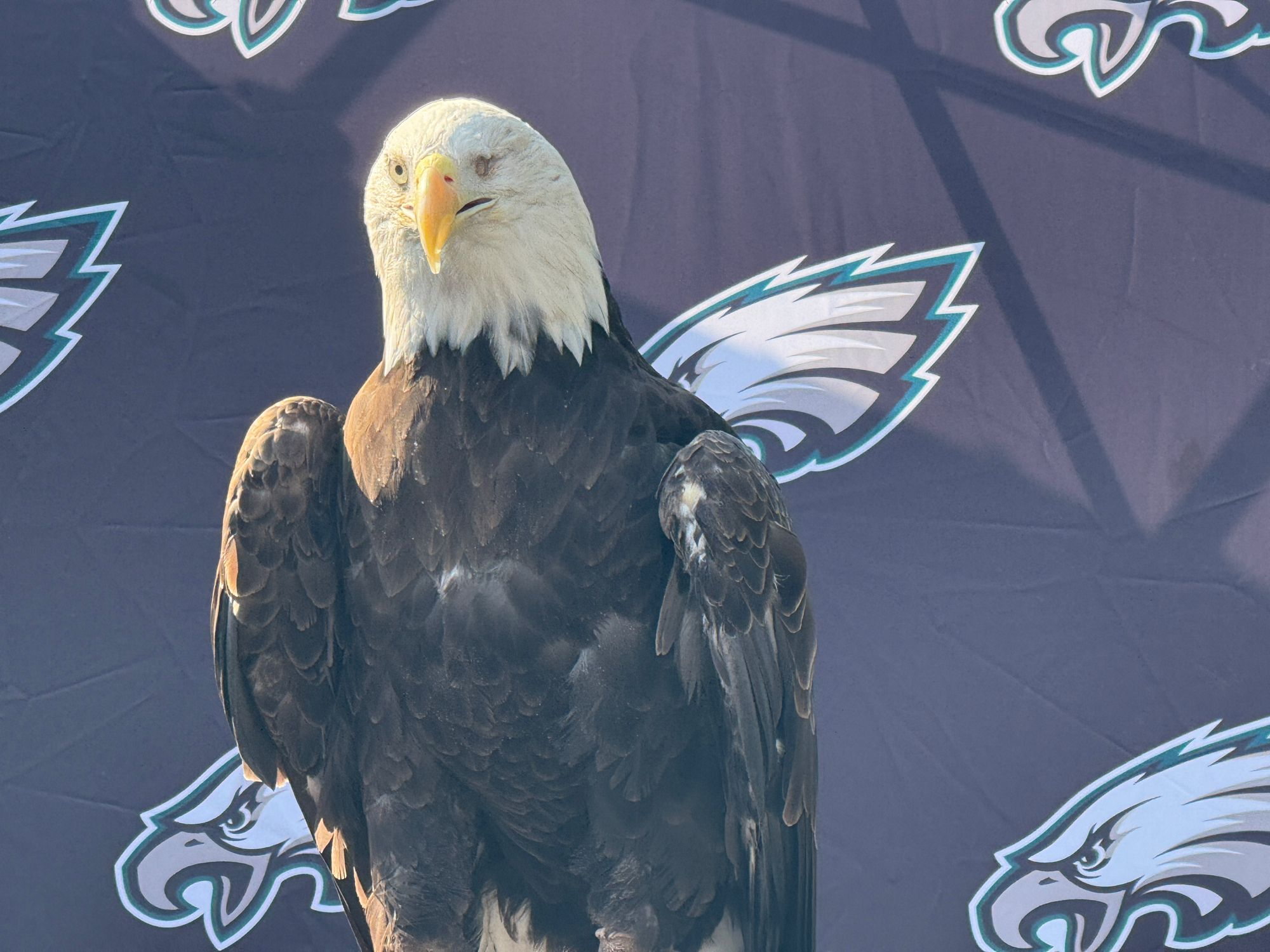 user avatar image for JoeCG