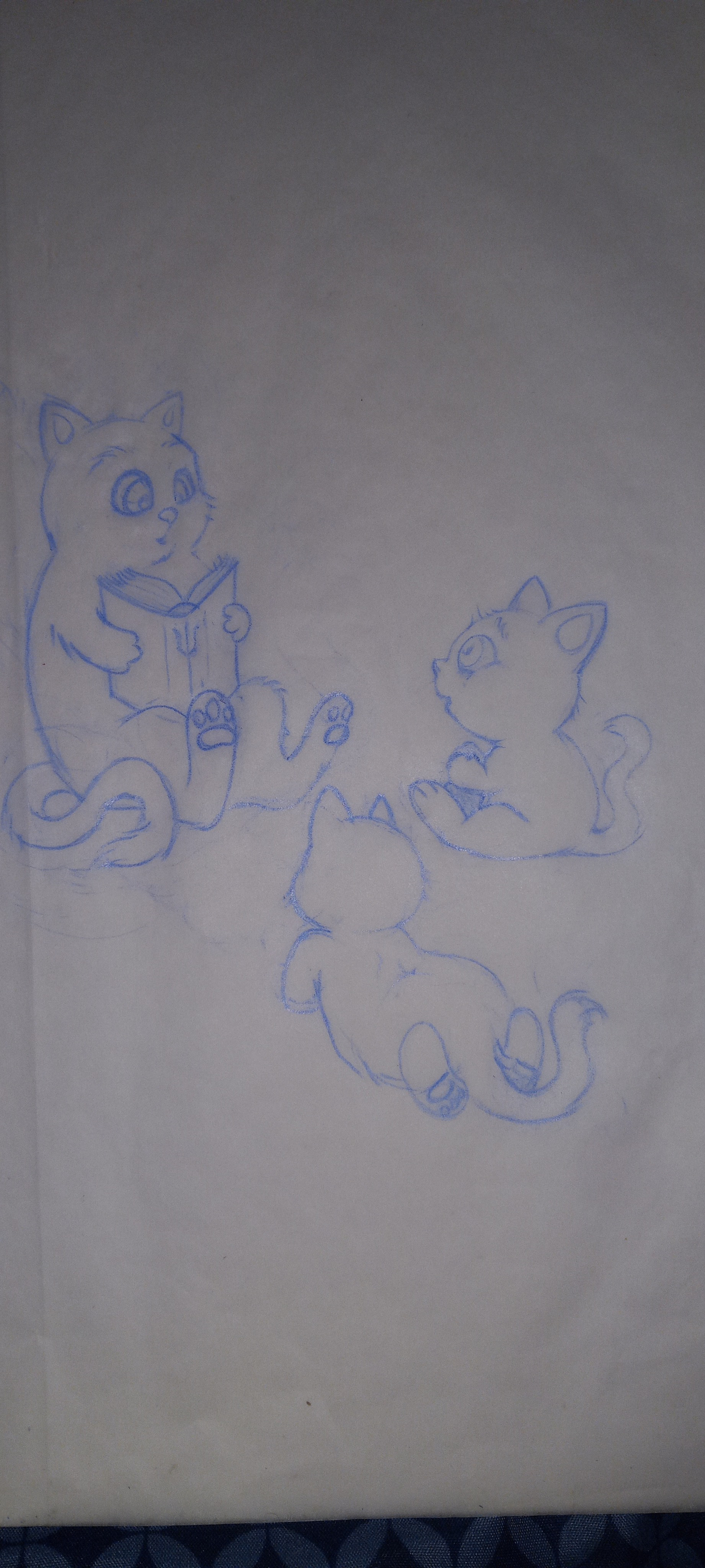 user avatar image for Noah