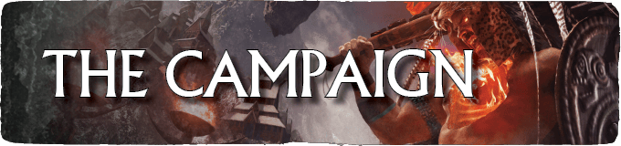 Pledging to this Campaign