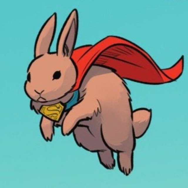 user avatar image for King Rollo