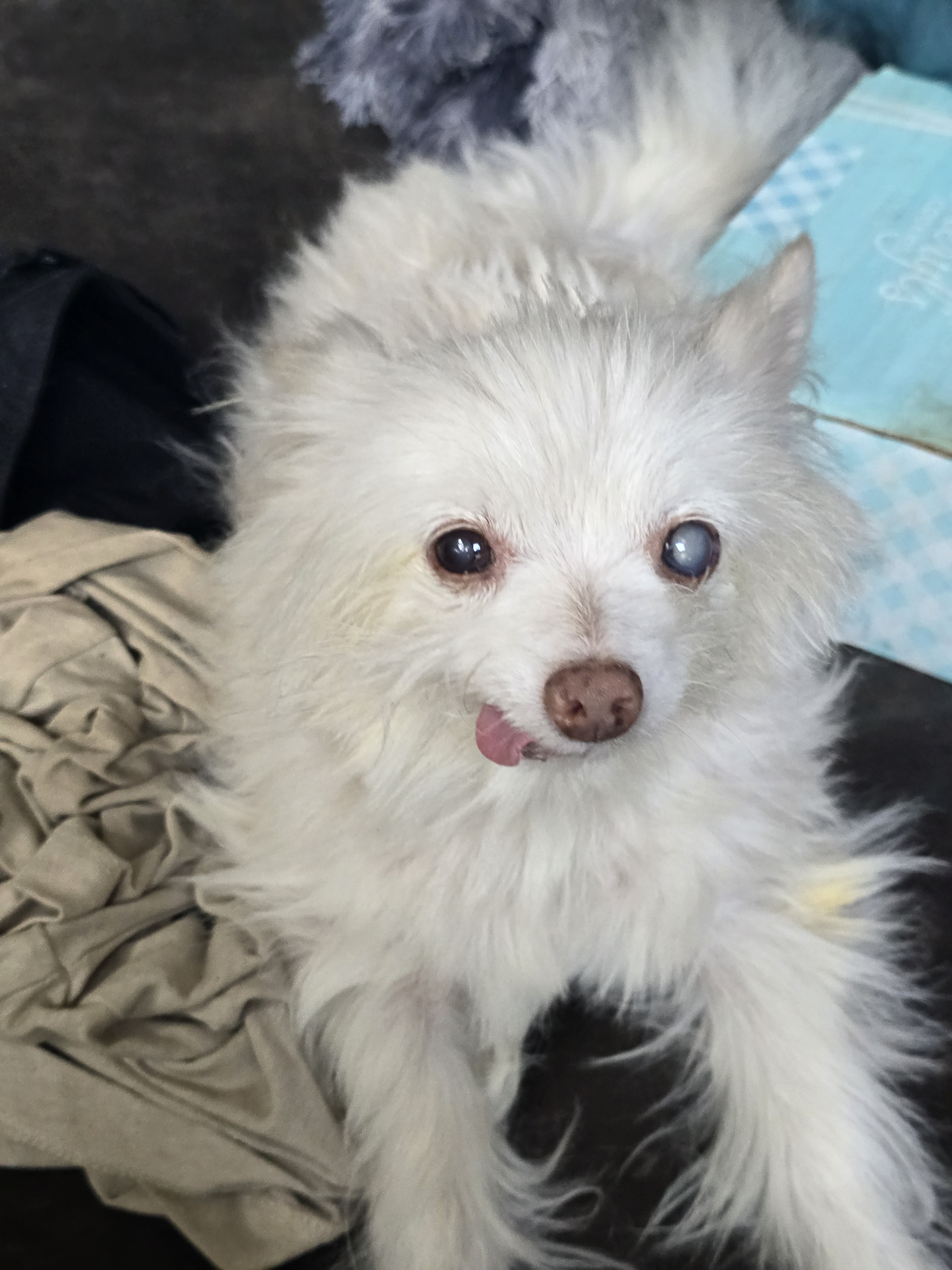 user avatar image for Finn