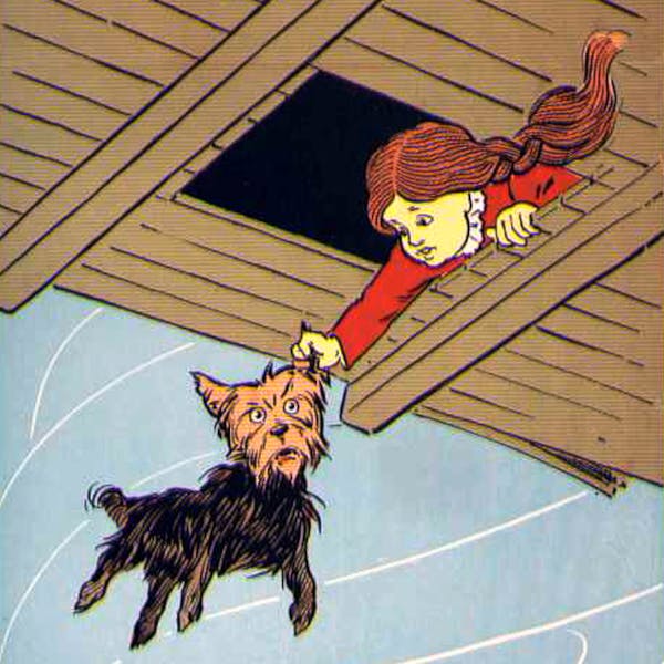 The "We're Not In Kansas Anymore" Bundle