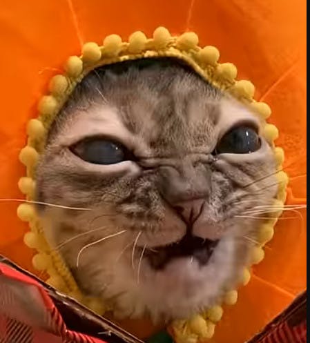 user avatar image for Hajime