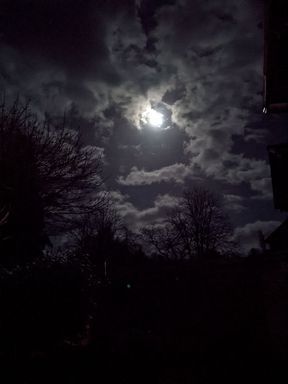 user avatar image for N0d