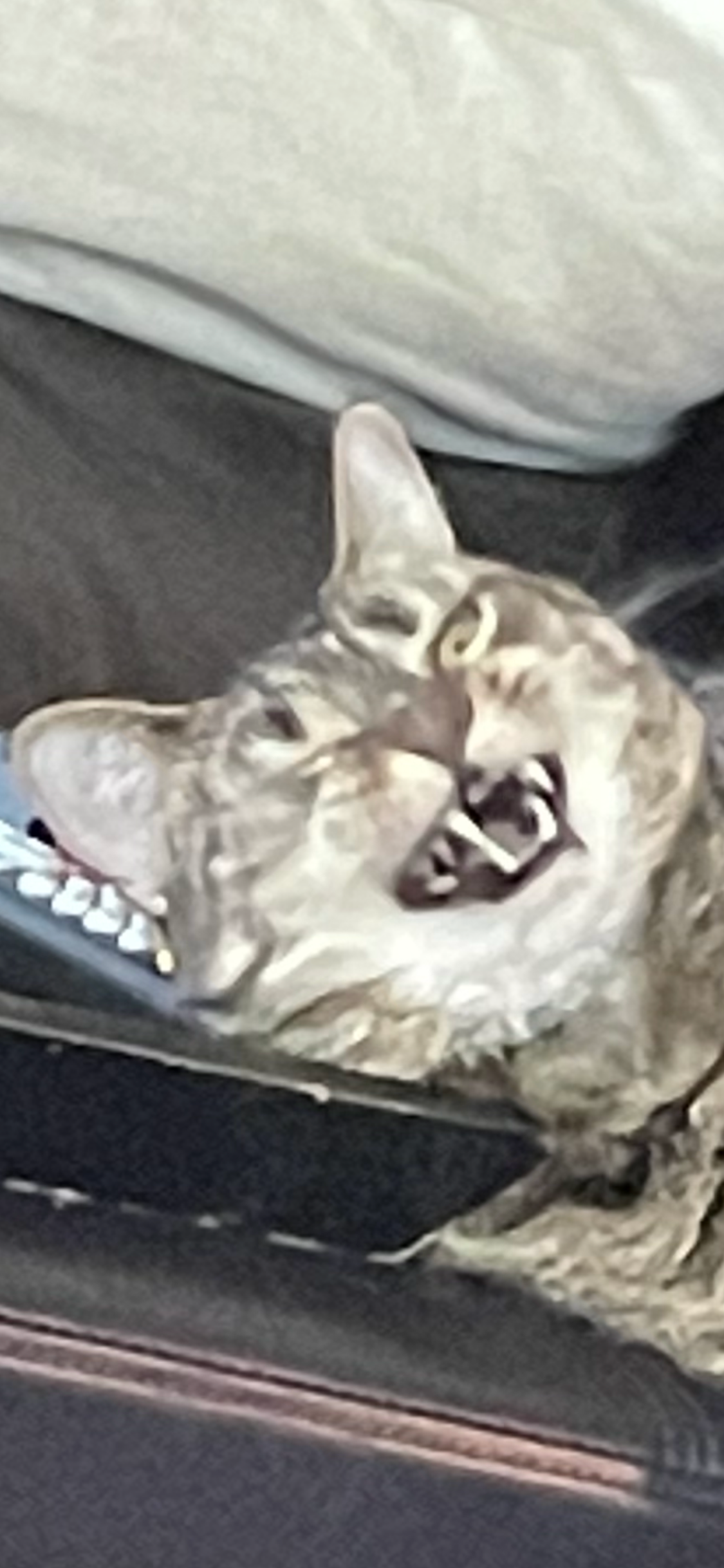 user avatar image for JustaGirlGamer