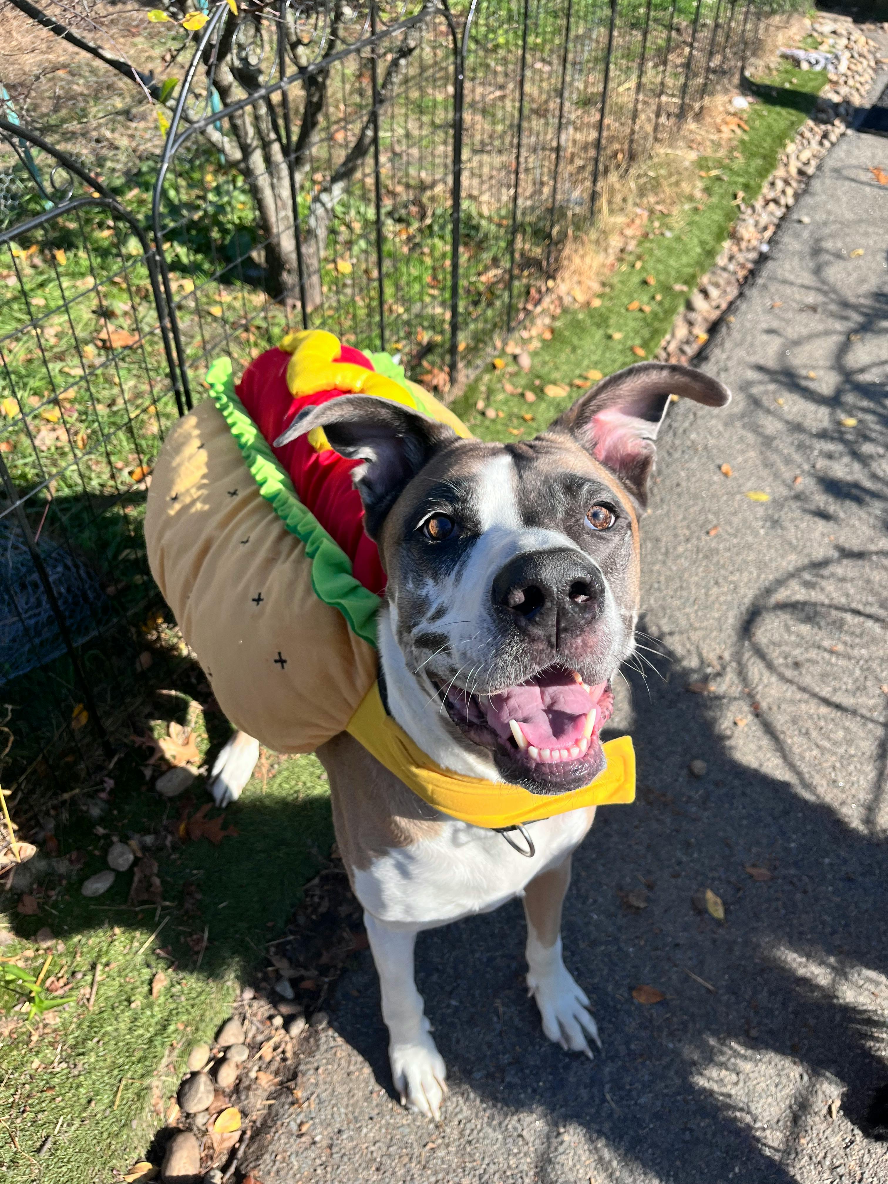 user avatar image for Choppah