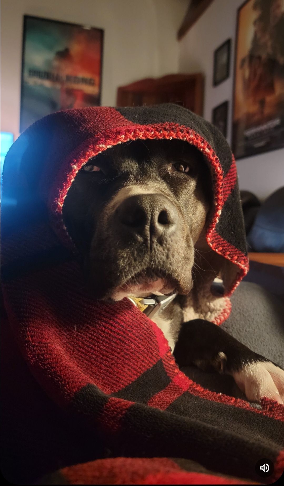 user avatar image for Charles Janes