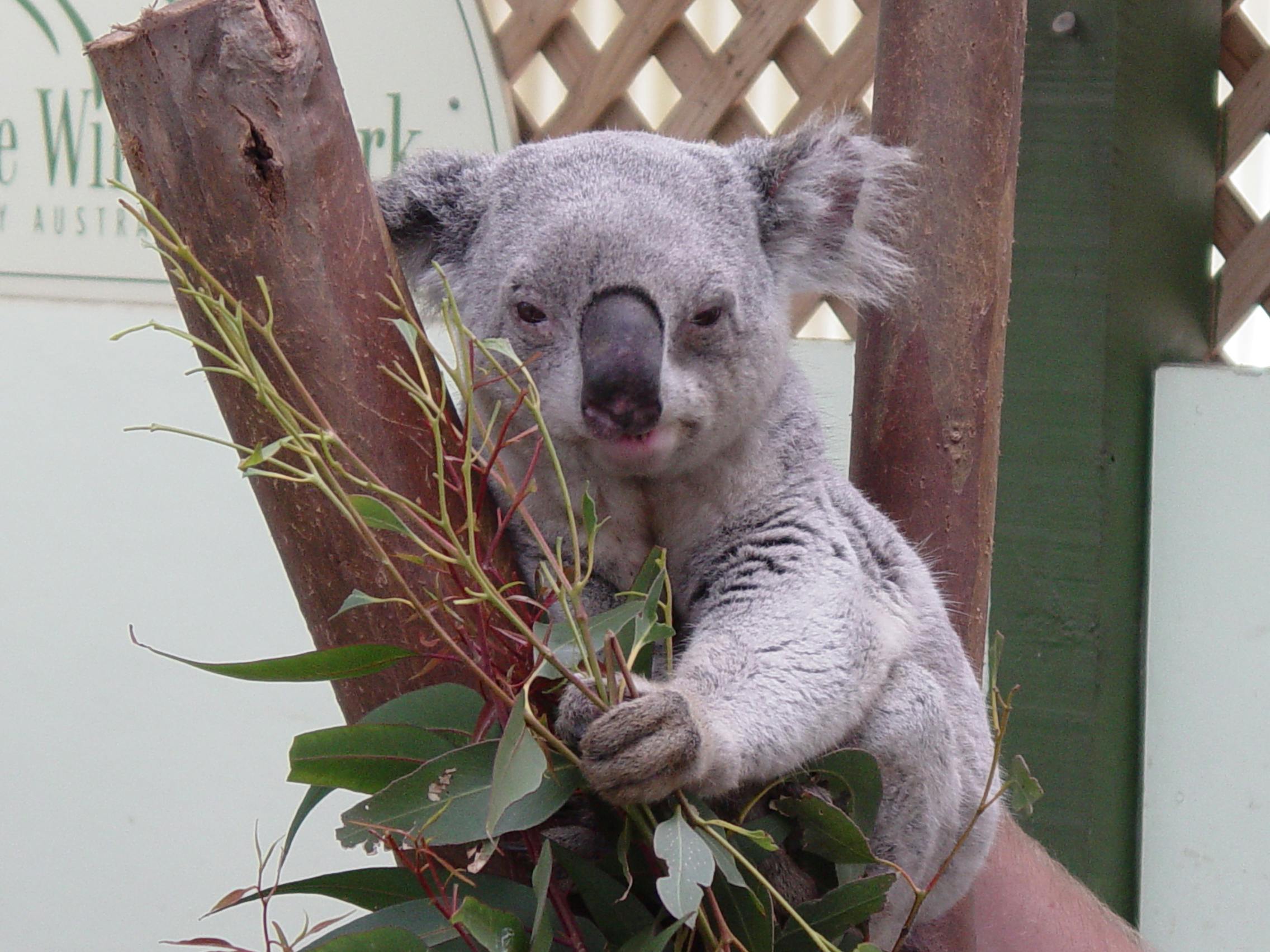 user avatar image for Brad