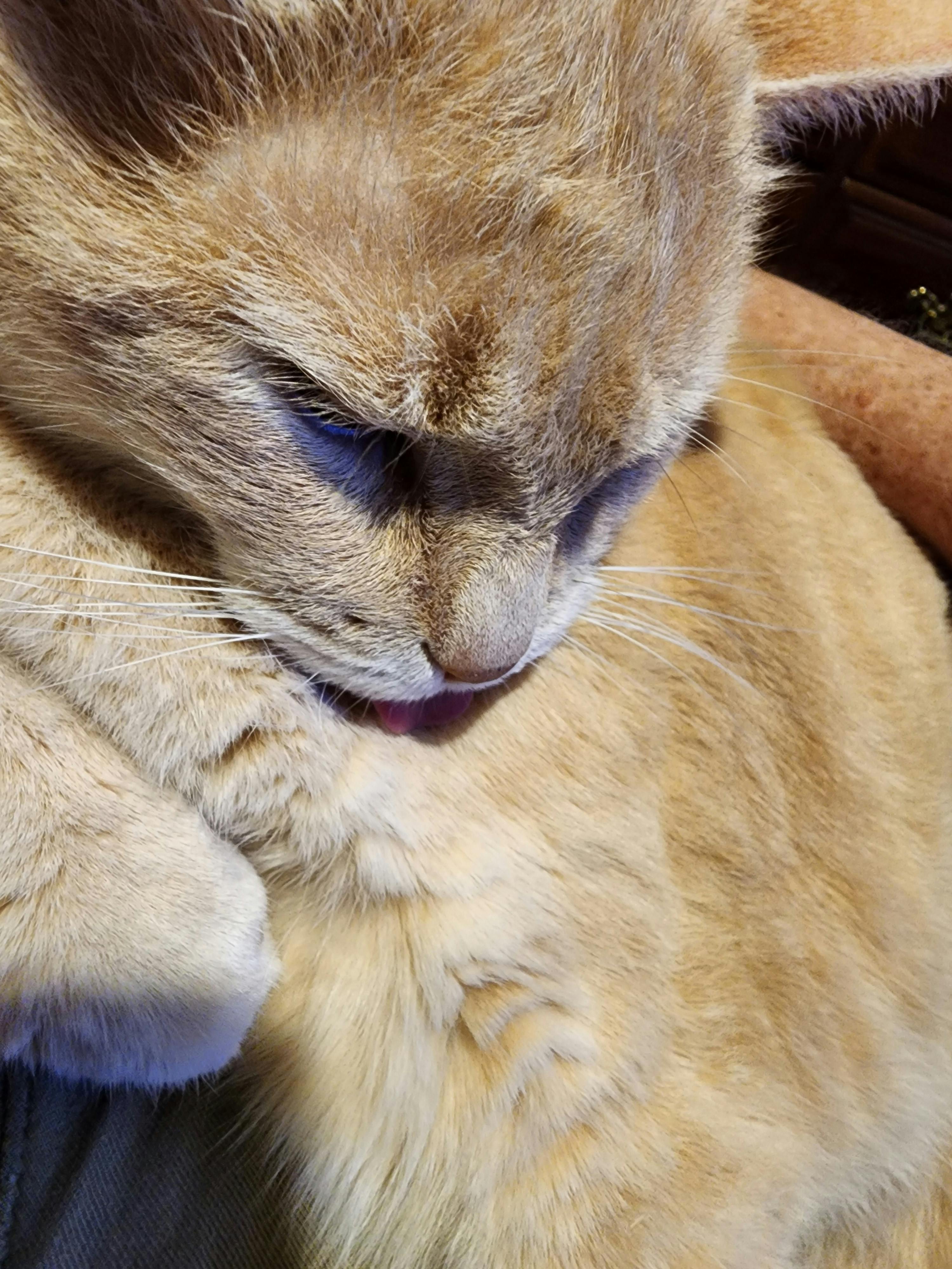 user avatar image for Lynn Kramer