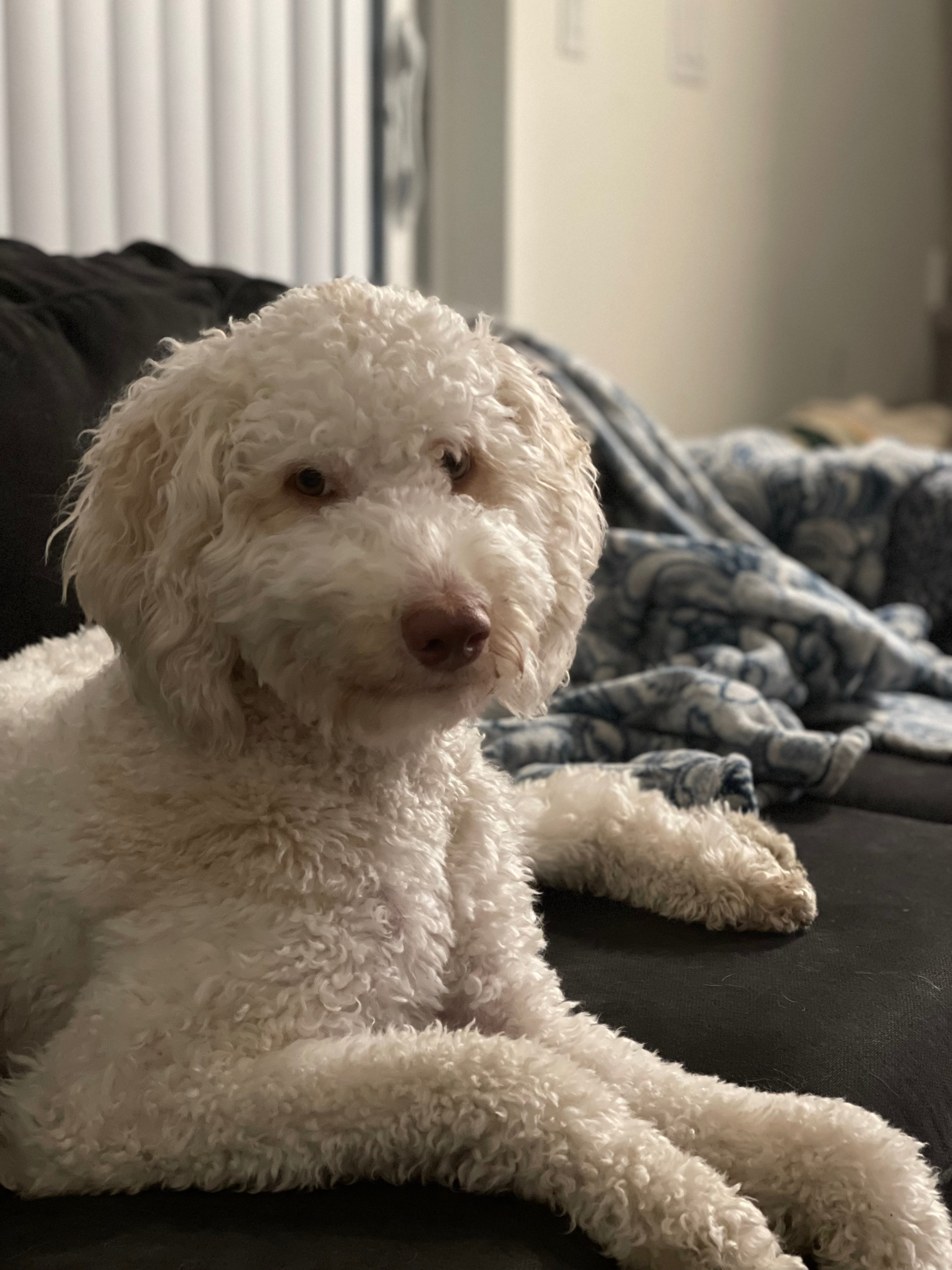 user avatar image for Winchris Cajayon