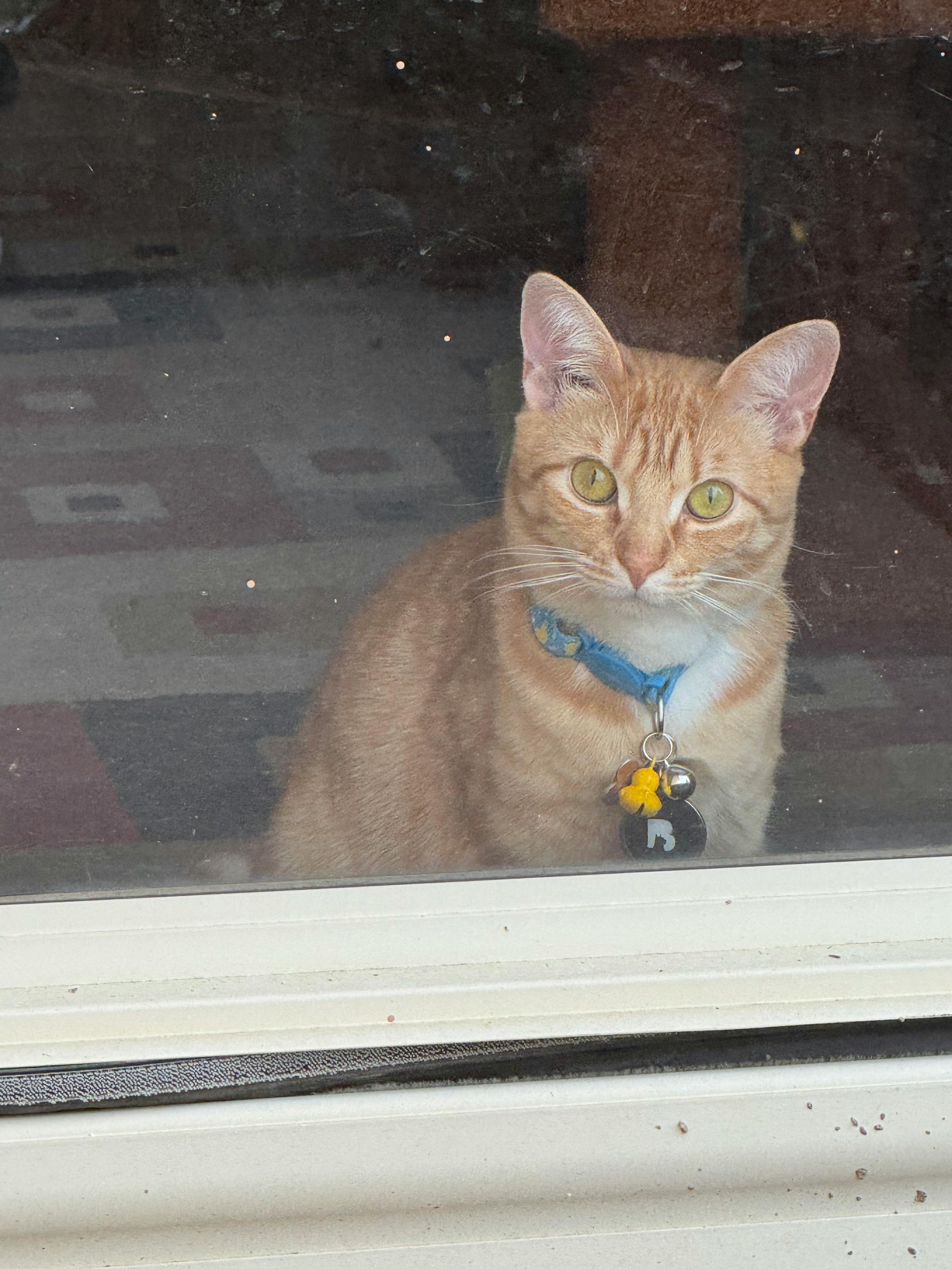 user avatar image for Donald Gibson