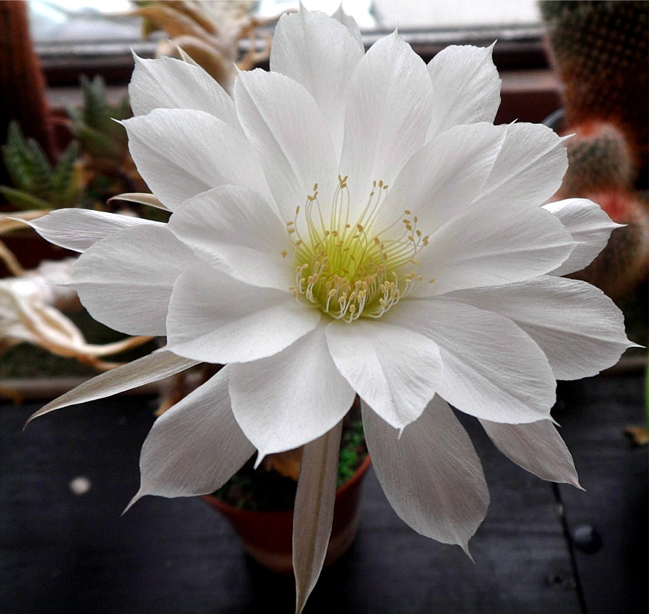 user avatar image for Ashley