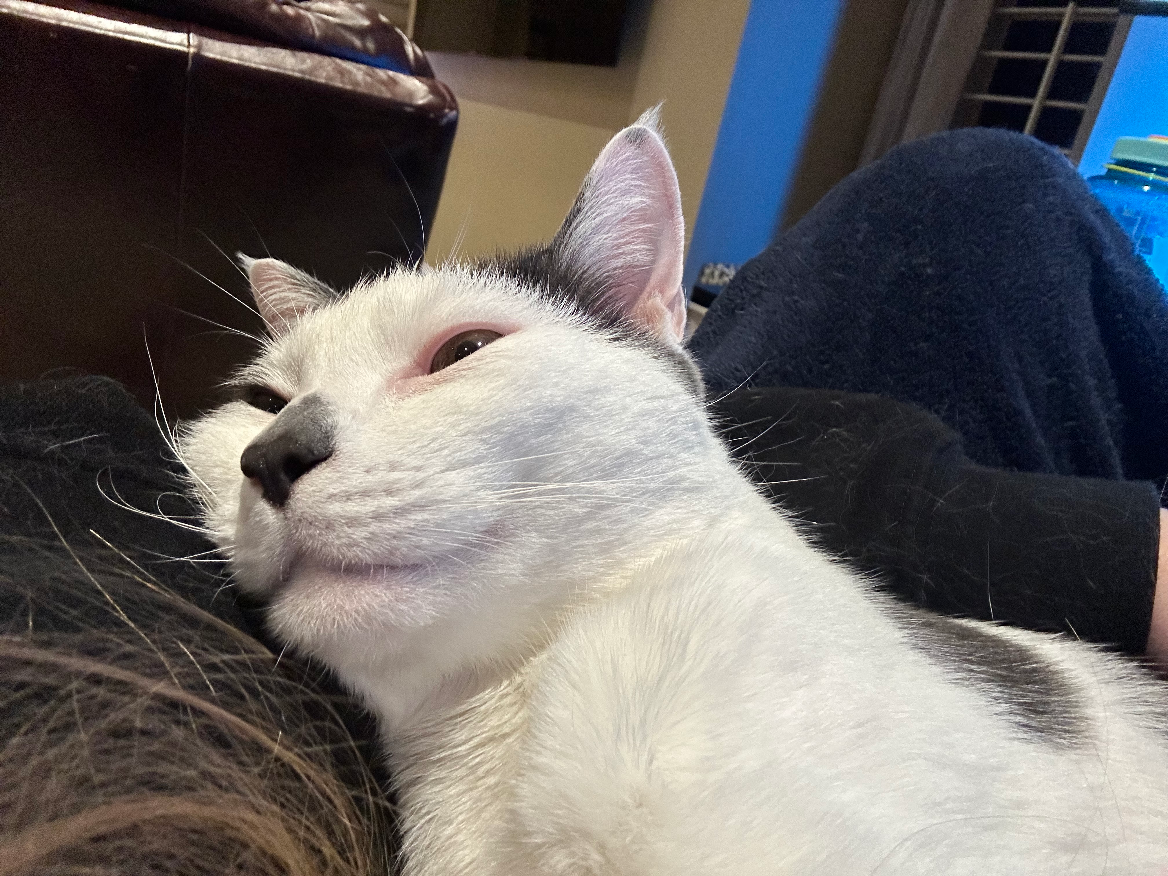 user avatar image for Caitlin Hellmann