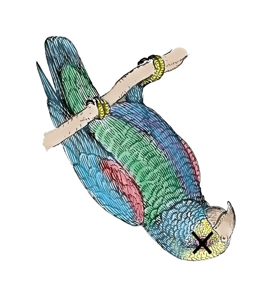 user avatar image for Michael