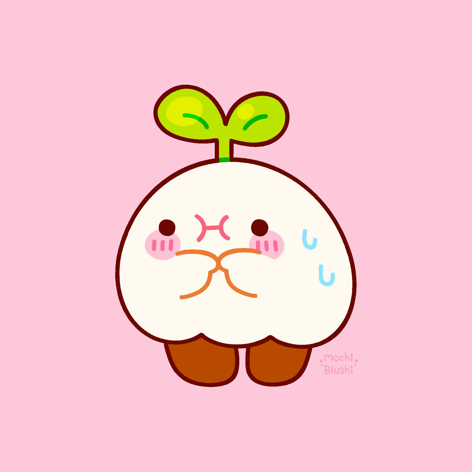 Mochi Support
