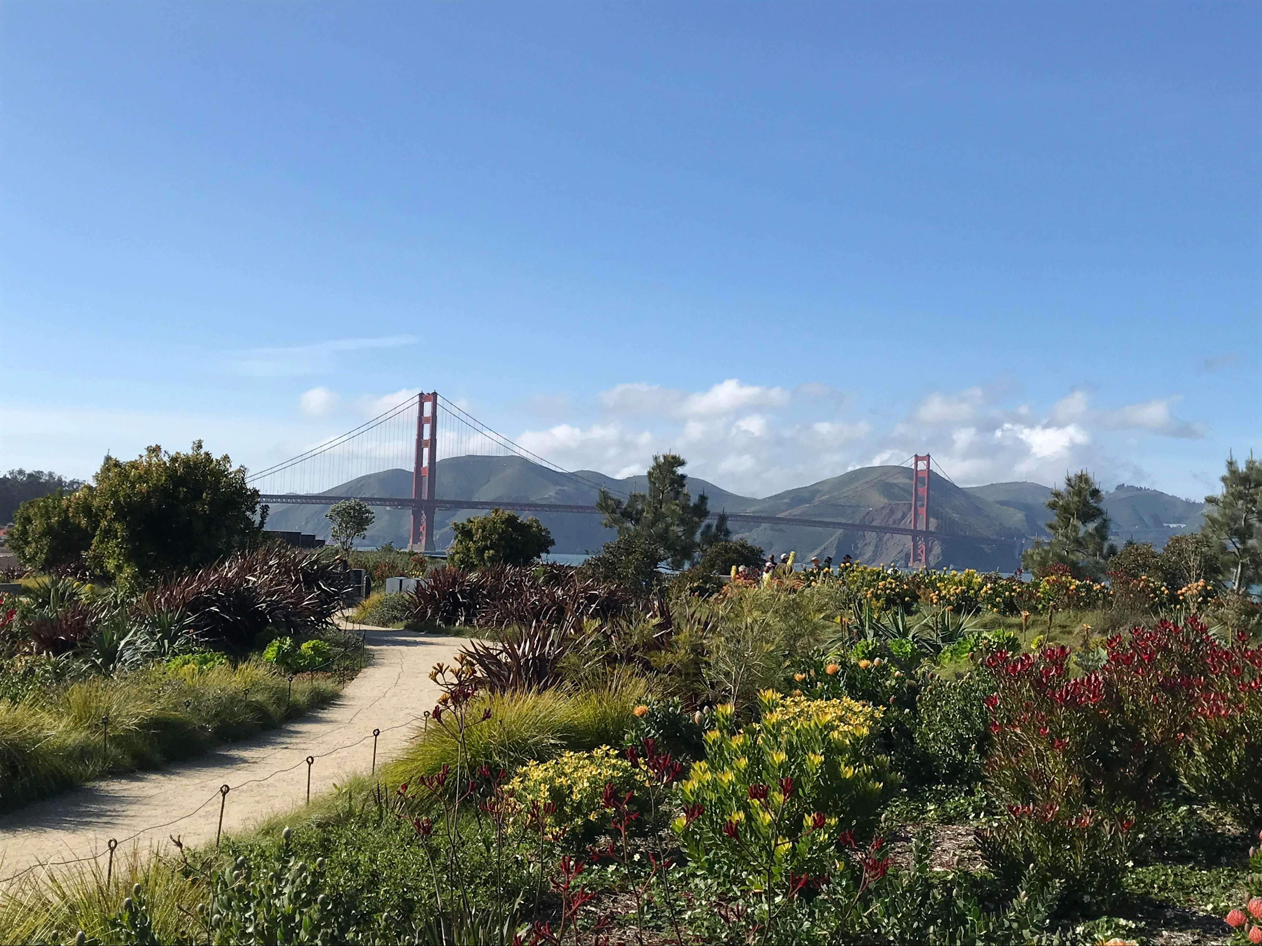 user avatar image for Sheri