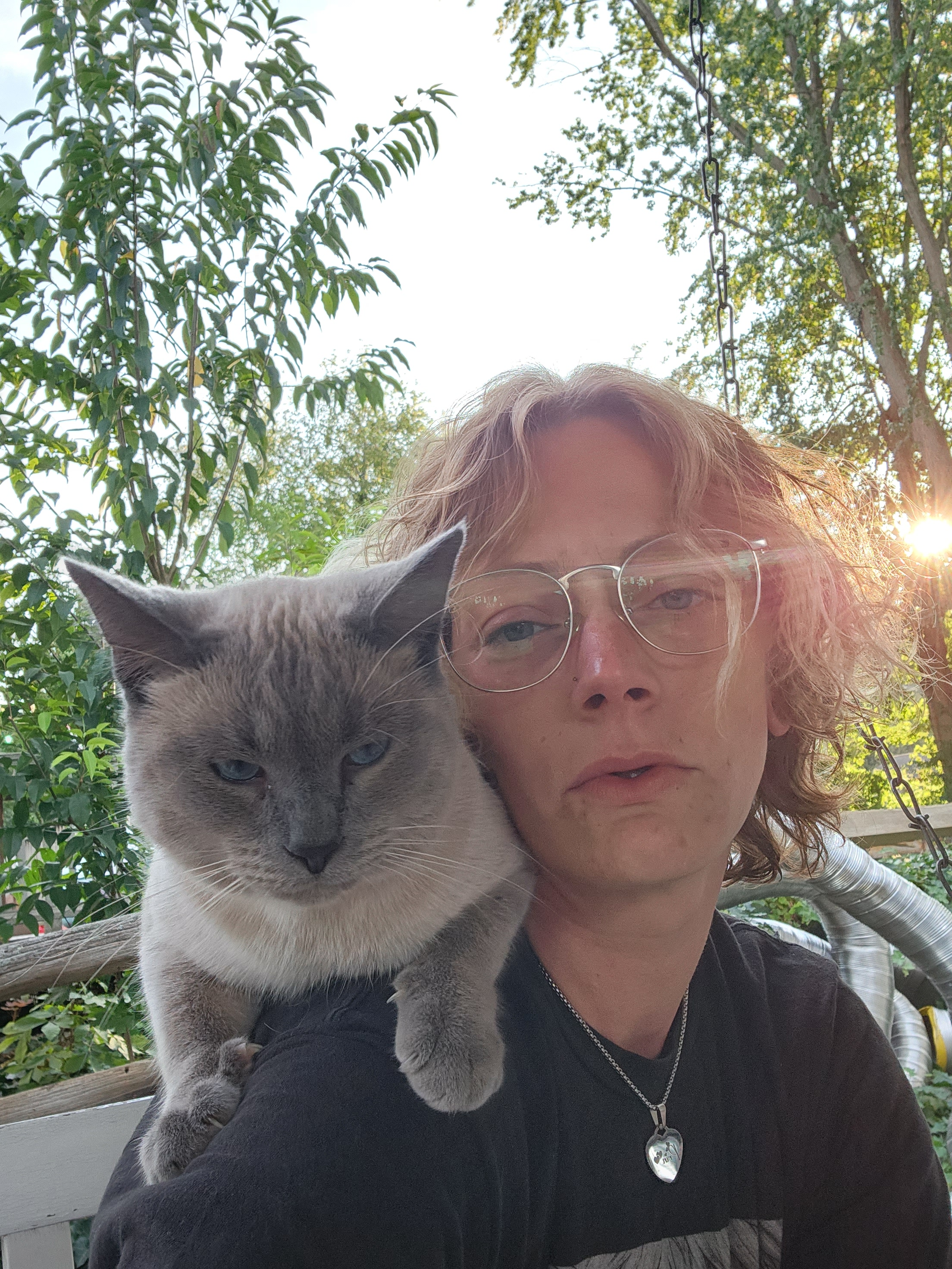 user avatar image for Dew Drop