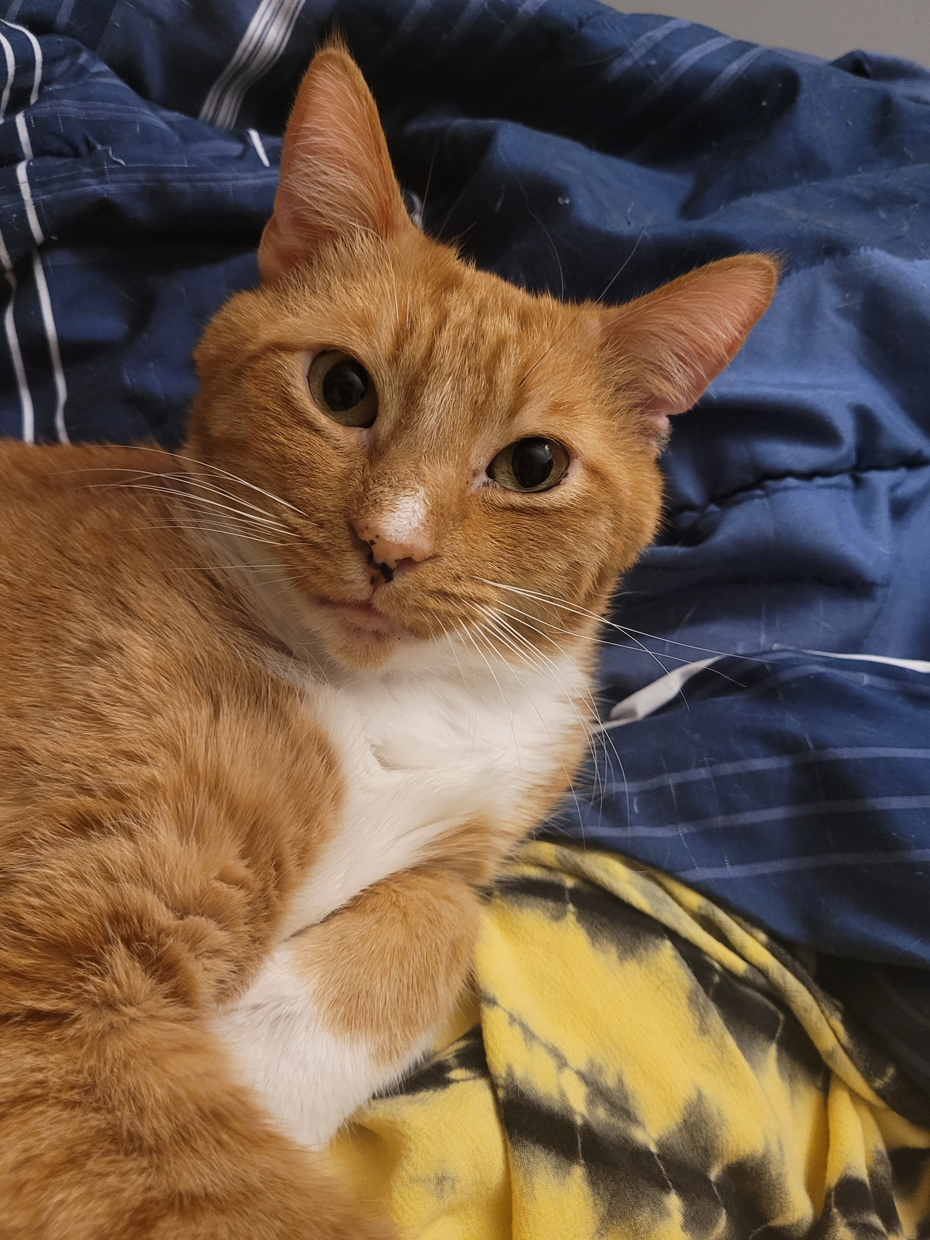 user avatar image for AsmarFey