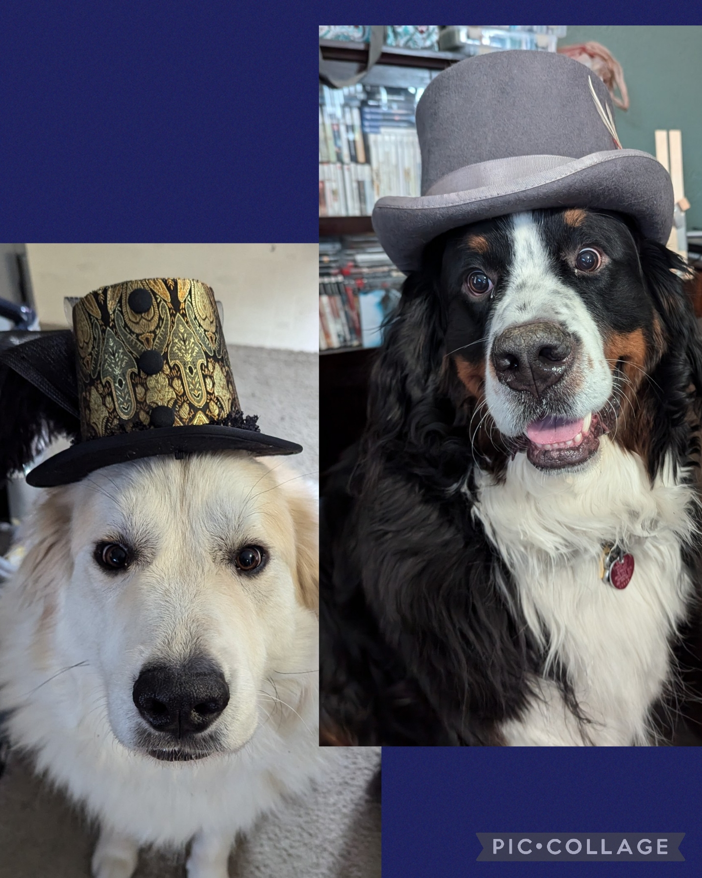 user avatar image for Jennifer