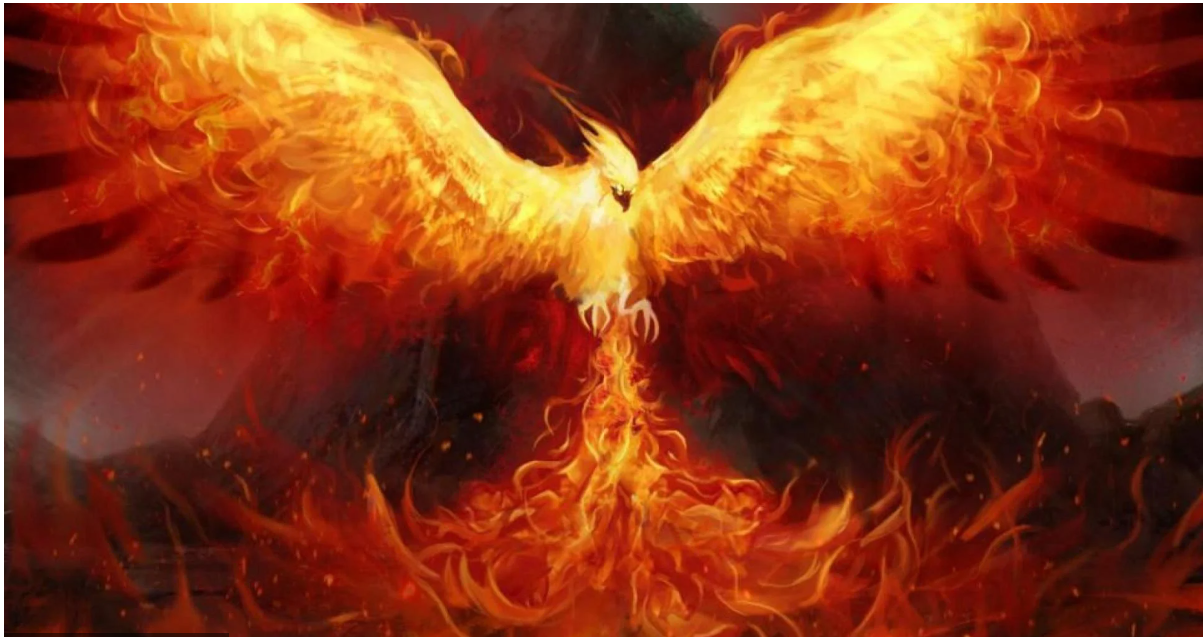 user avatar image for Or Raifman