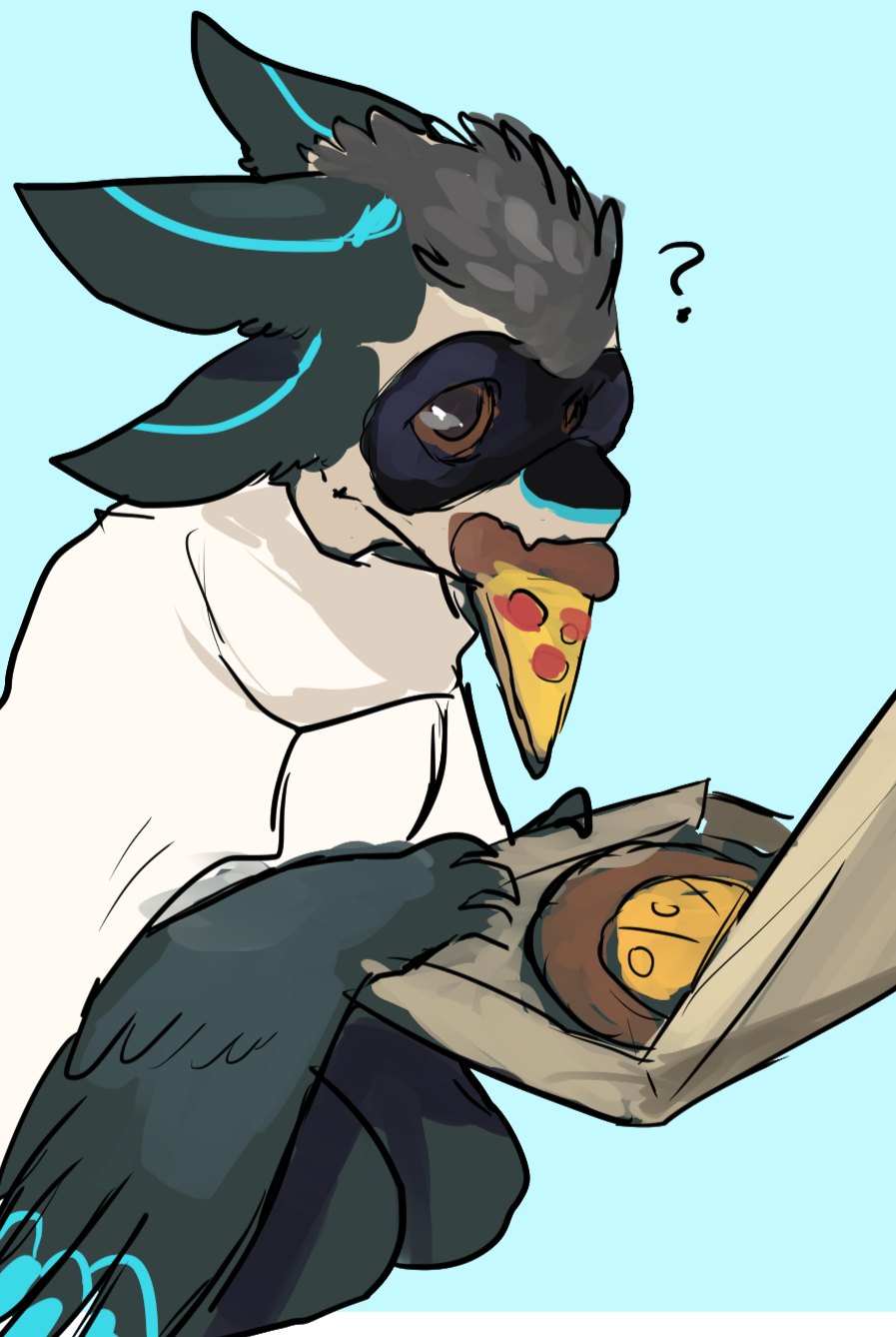 user avatar image for Somni