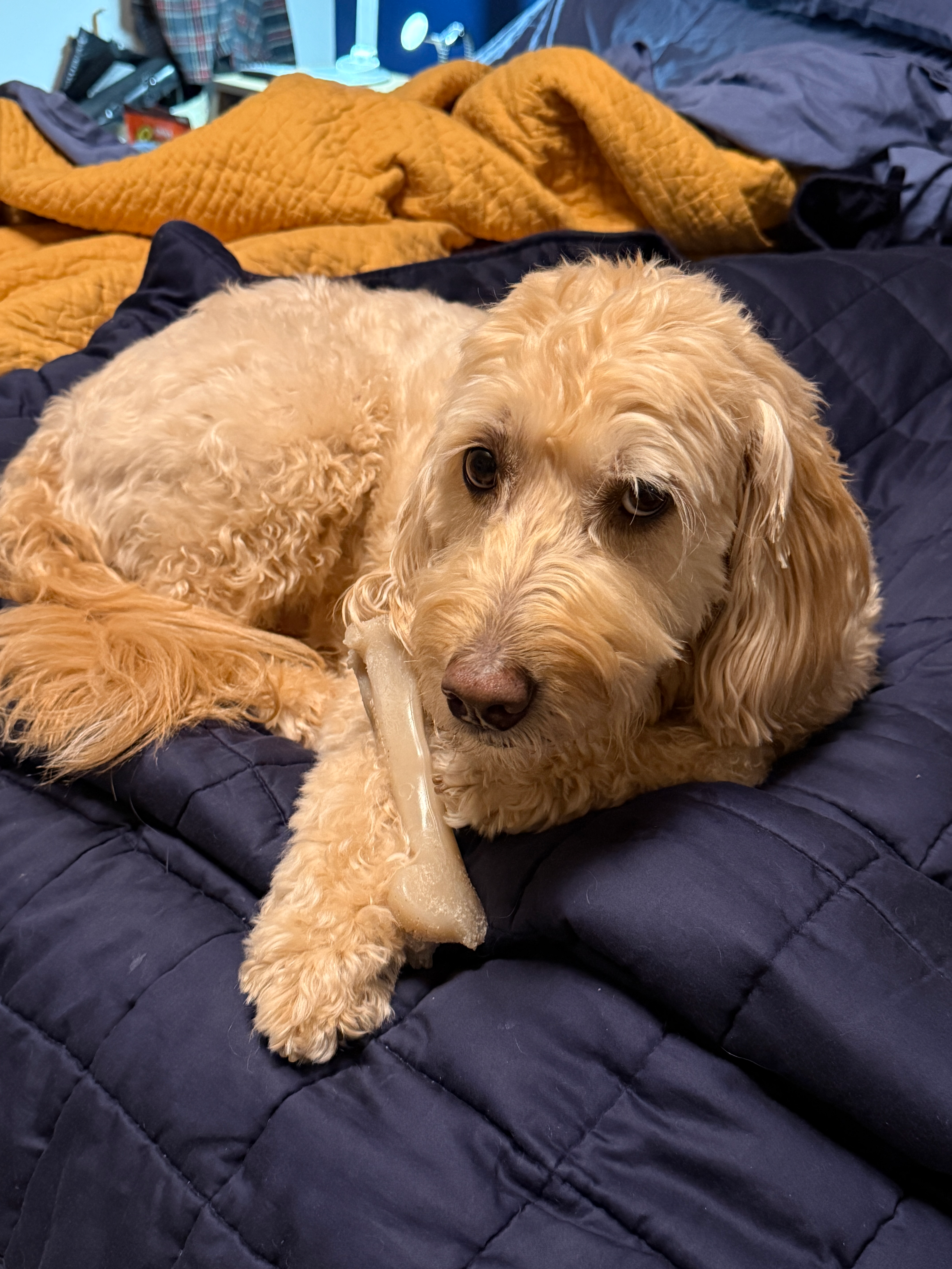 user avatar image for Adam J. Eggert