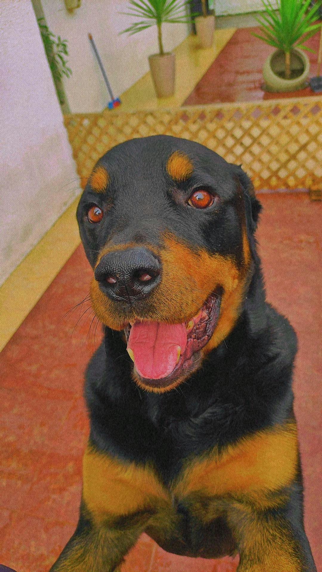 user avatar image for Marcel Molina