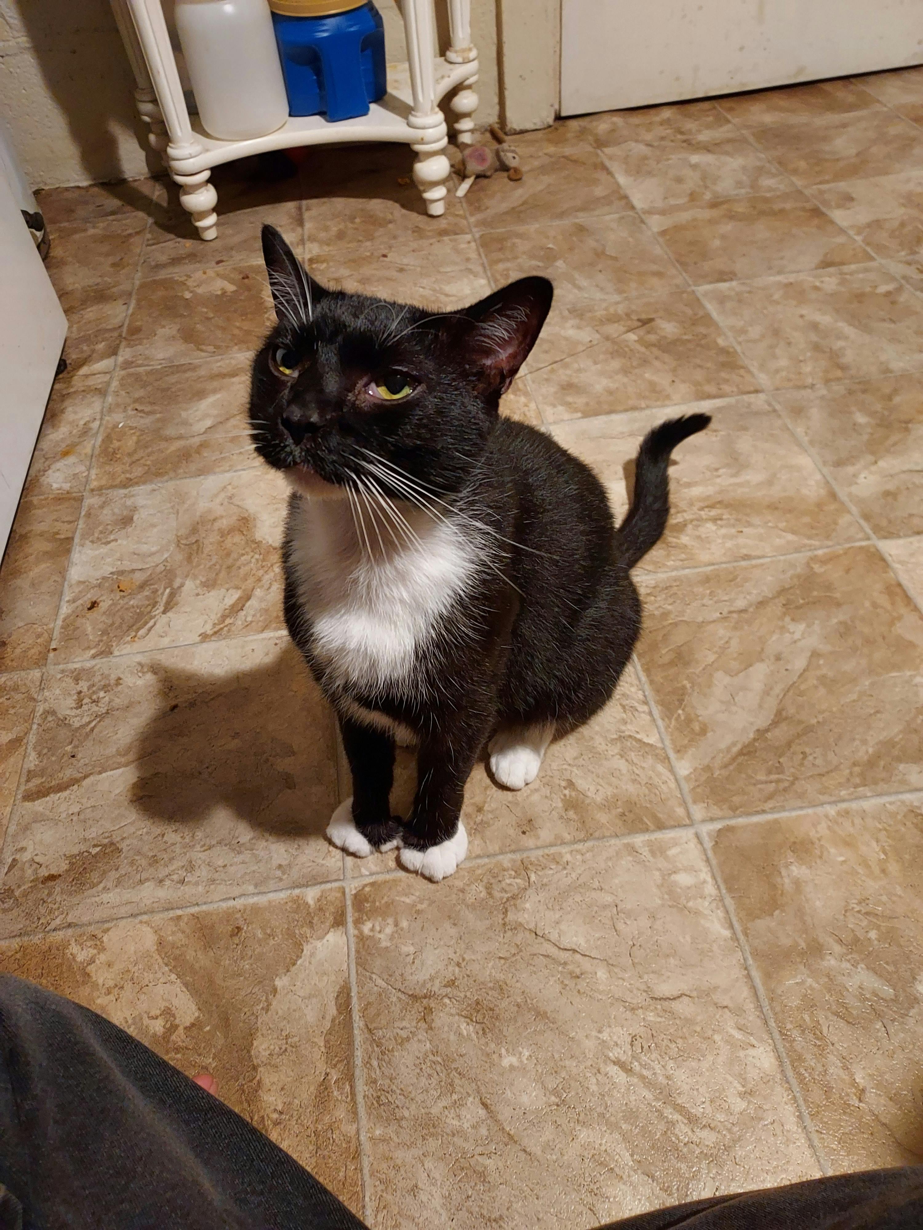 user avatar image for Sean Raccoon