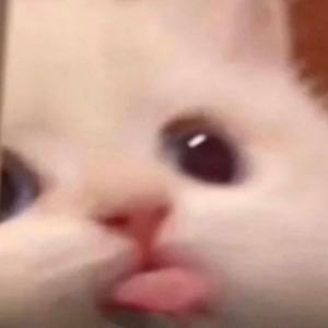user avatar image for KiwiSodiePop