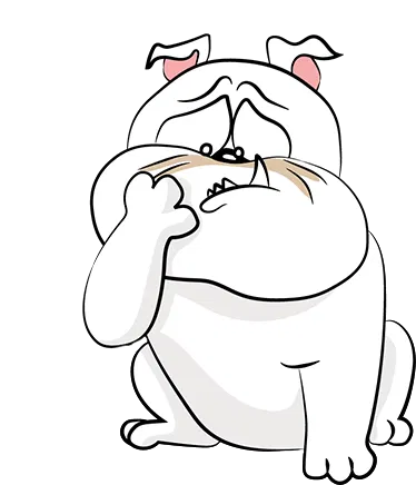 user avatar image for Rob Perez III