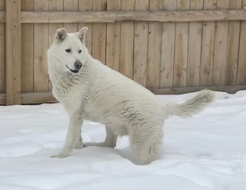 user avatar image for Faolin Liath