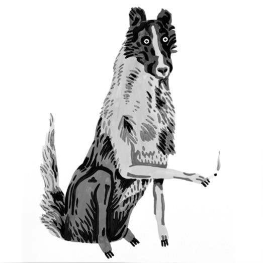user avatar image for Peter