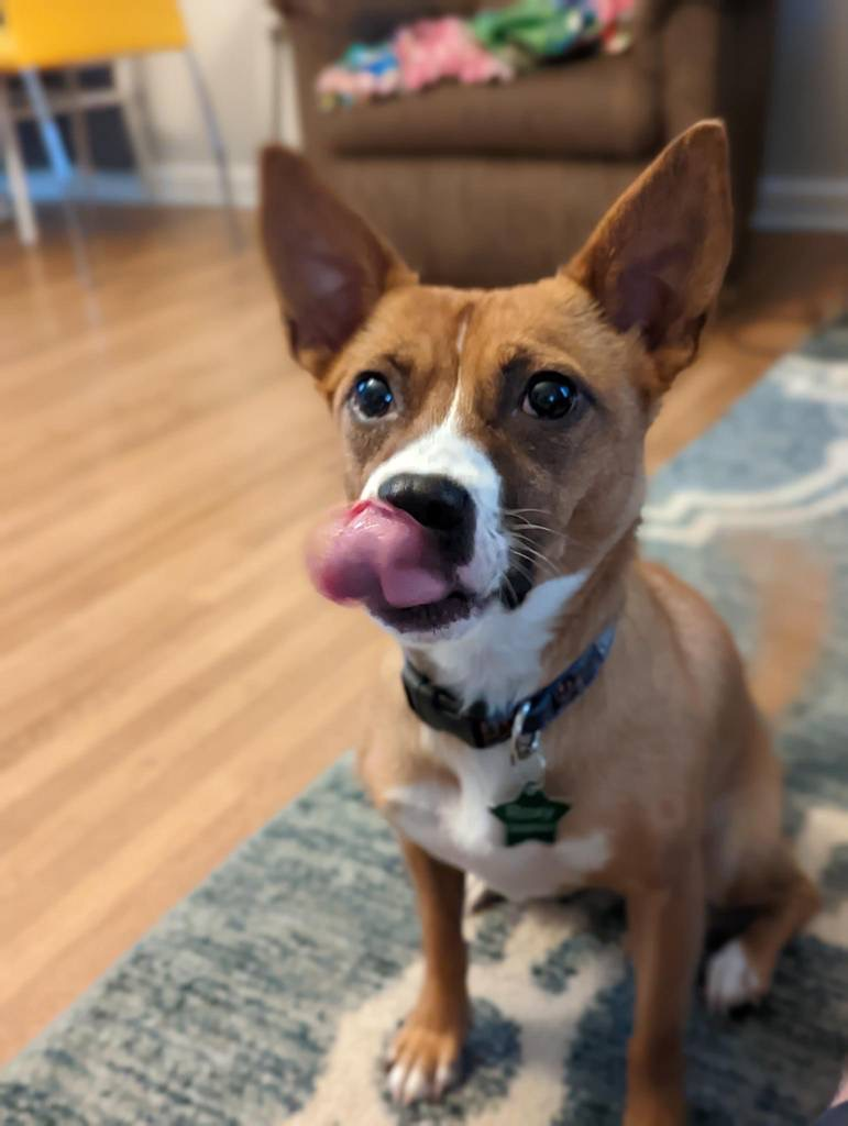 user avatar image for Anna Berg