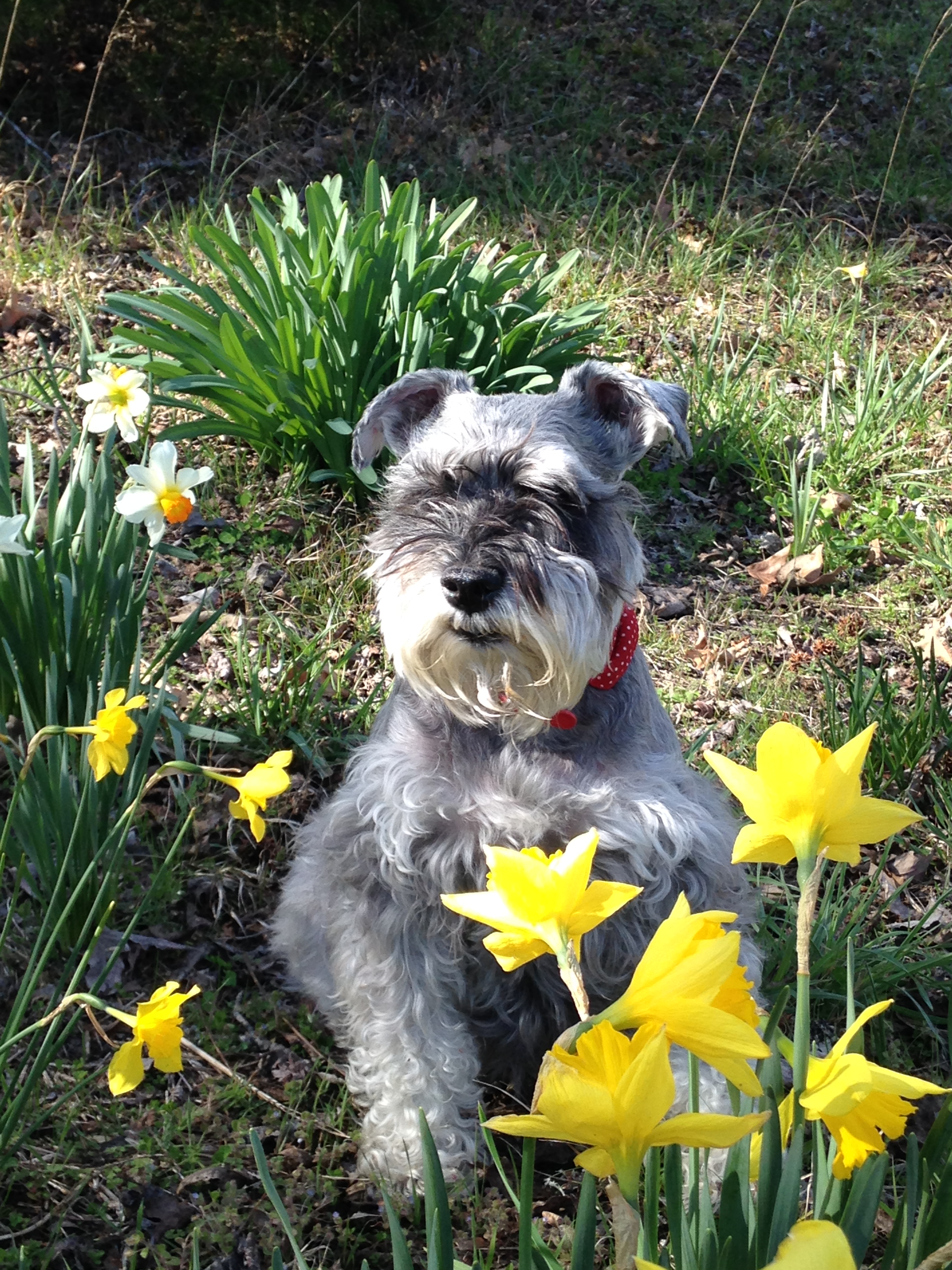 user avatar image for Galactic Entropy