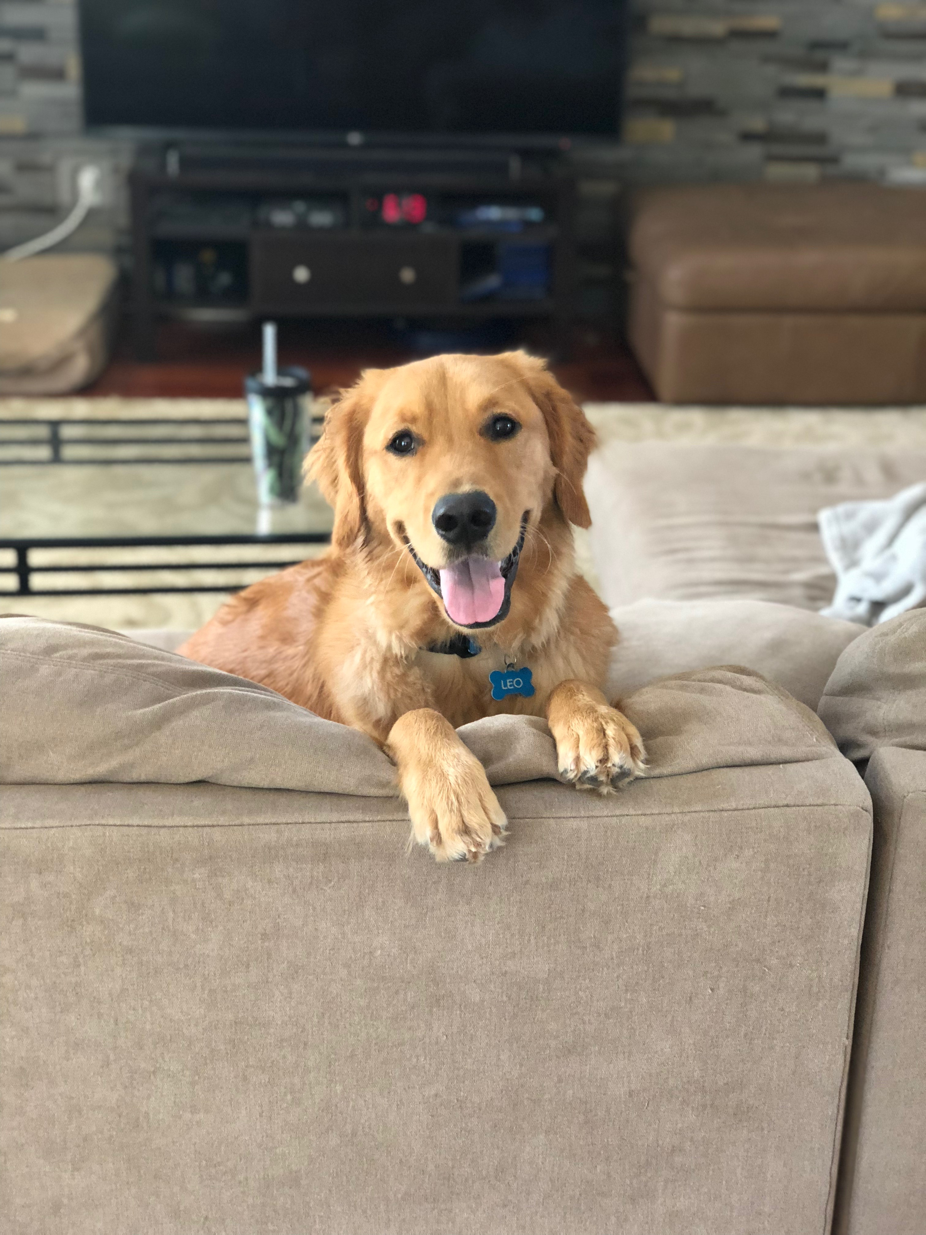 user avatar image for Biz Stolz