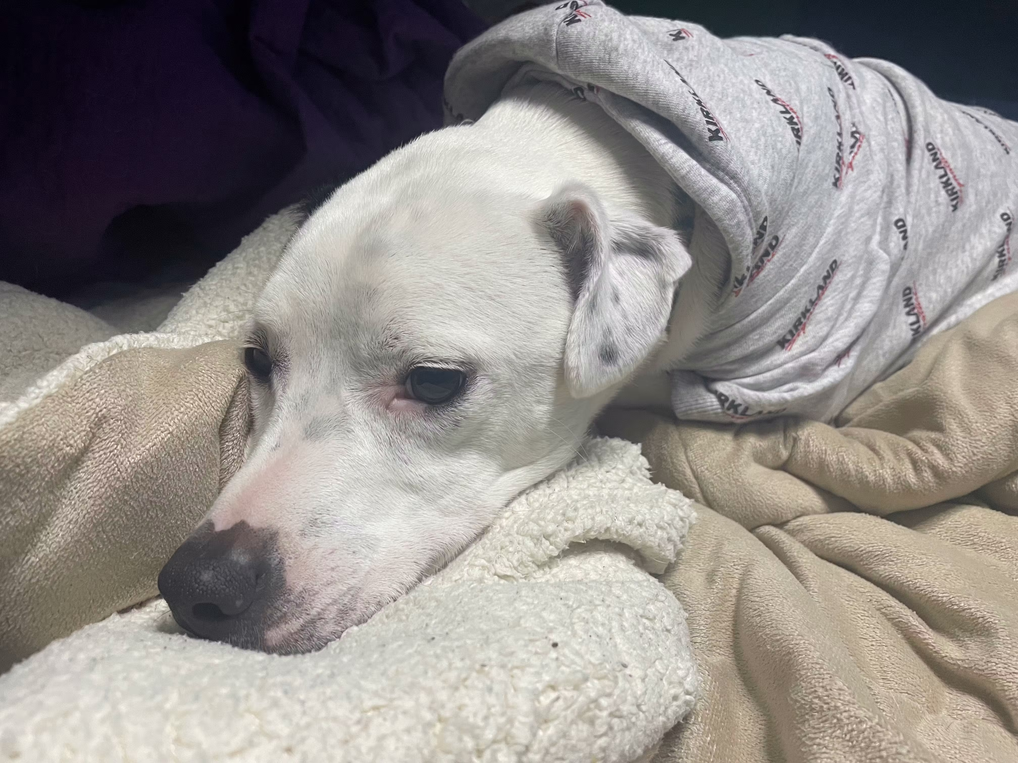 user avatar image for Spenser