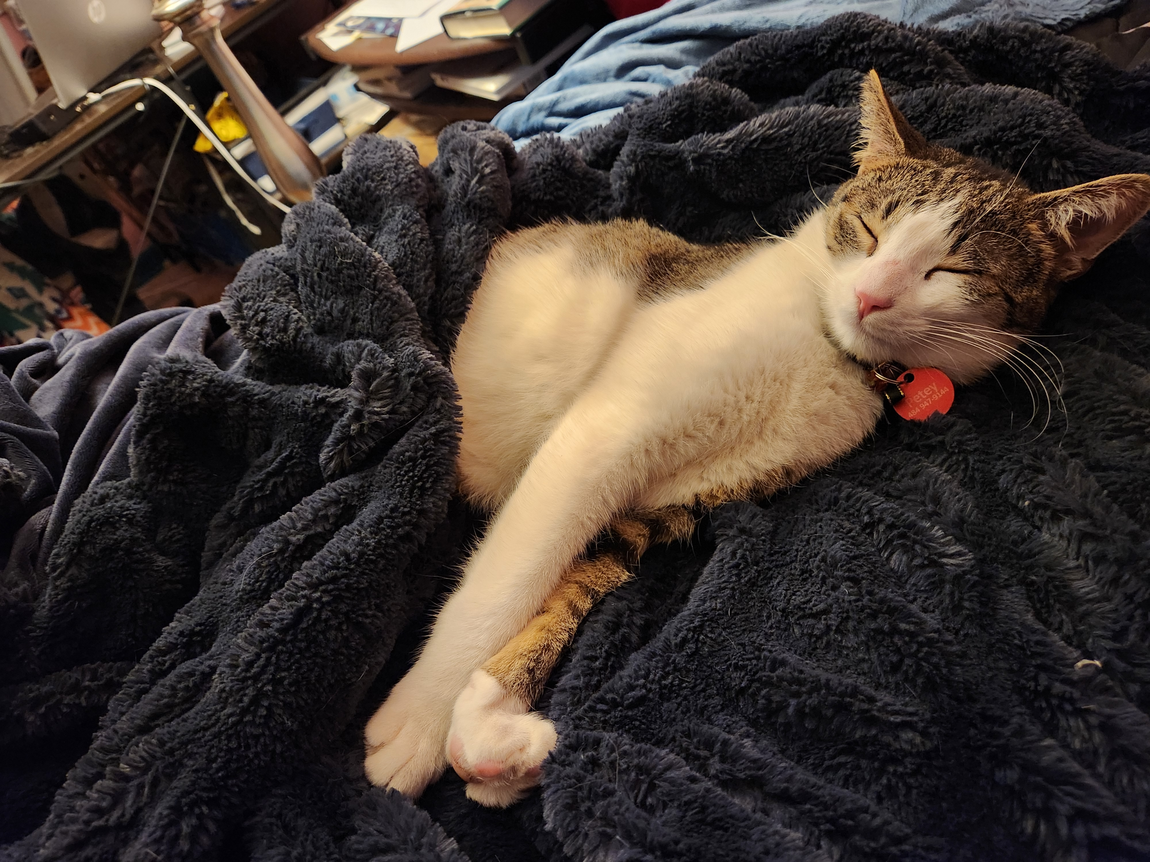 user avatar image for Tina