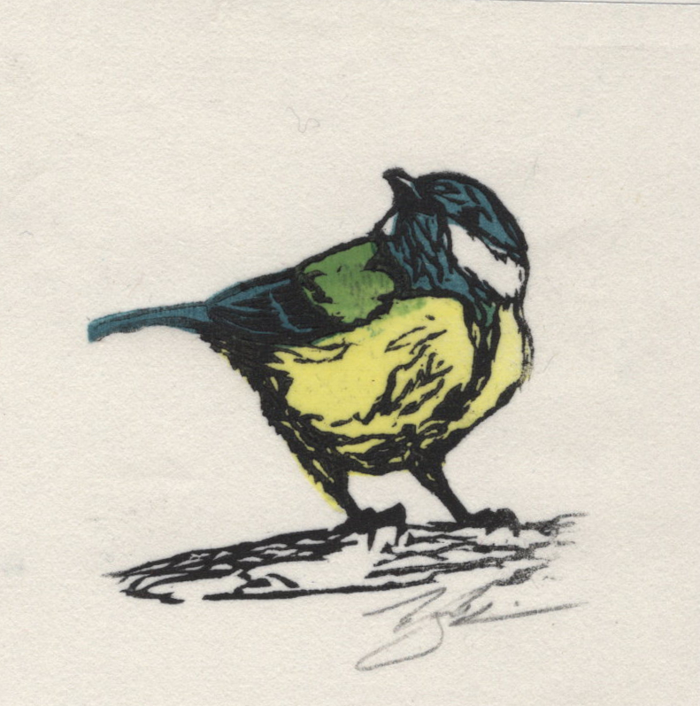 user avatar image for Toby M. Schreier