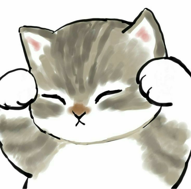 user avatar image for catvoyager