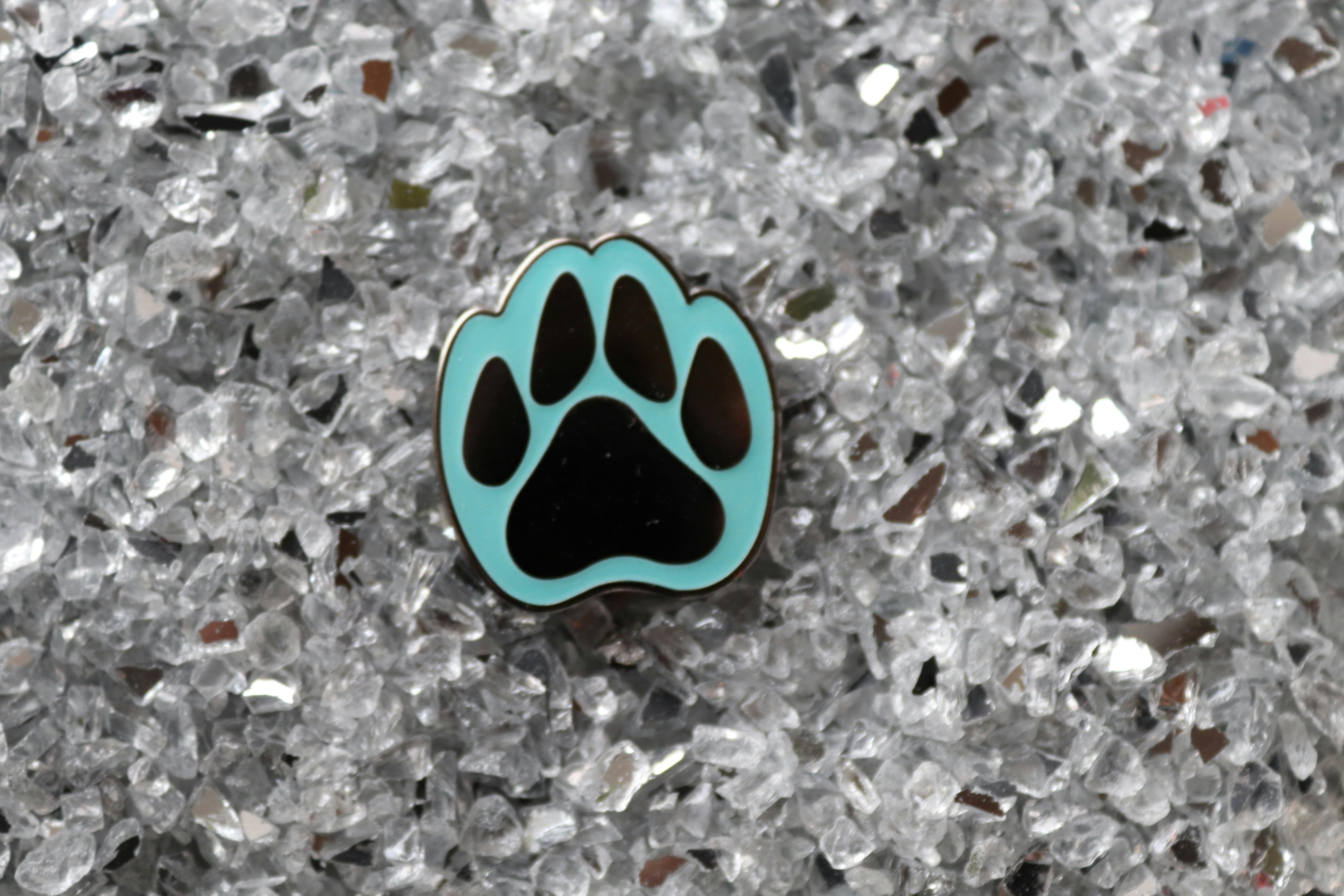 Blue paw print pin