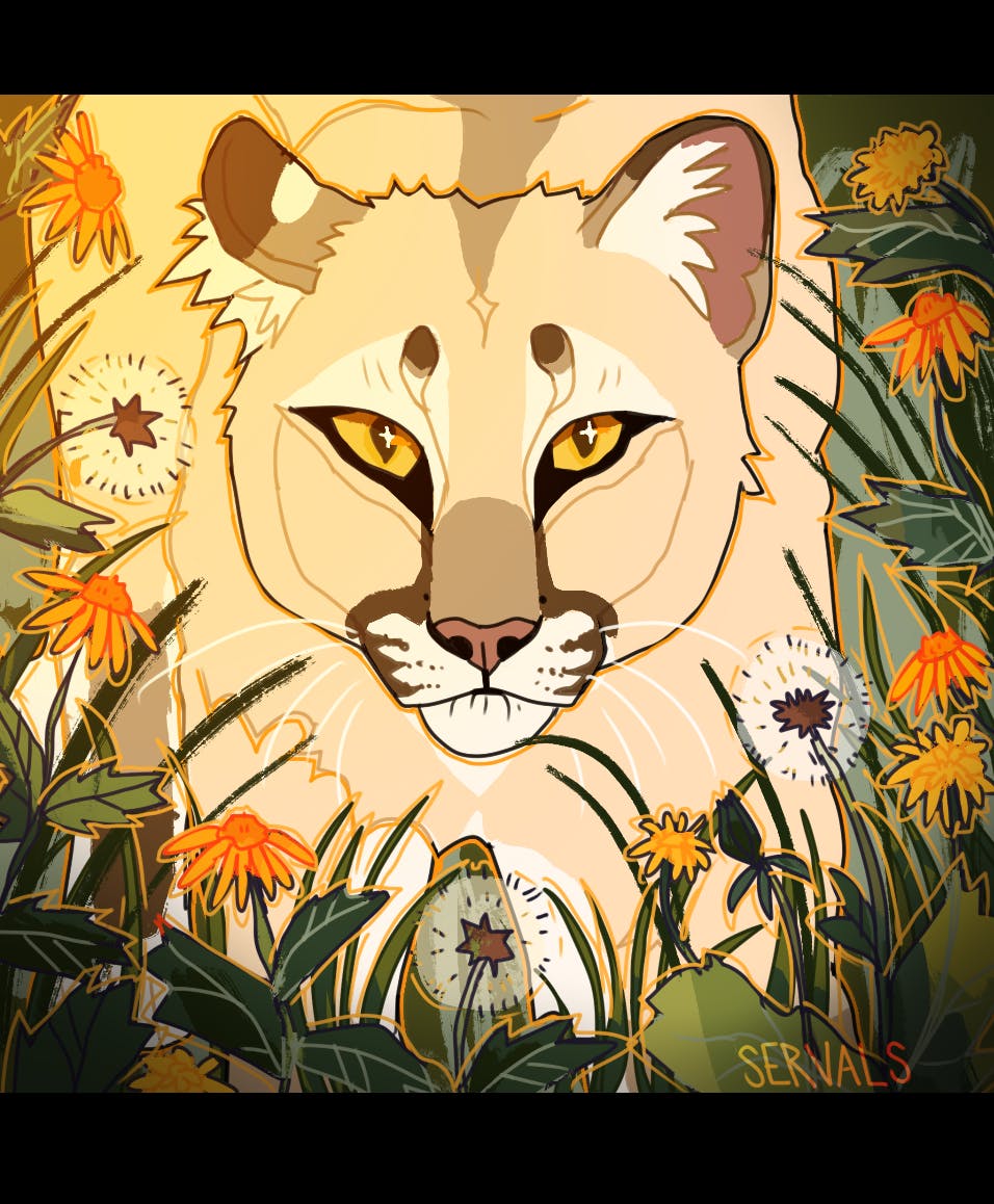 user avatar image for Varmintfeathers