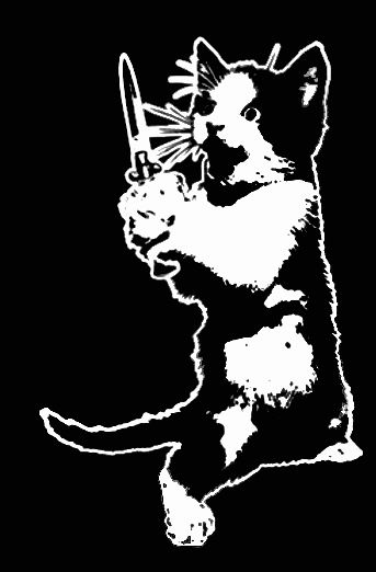 user avatar image for caloc