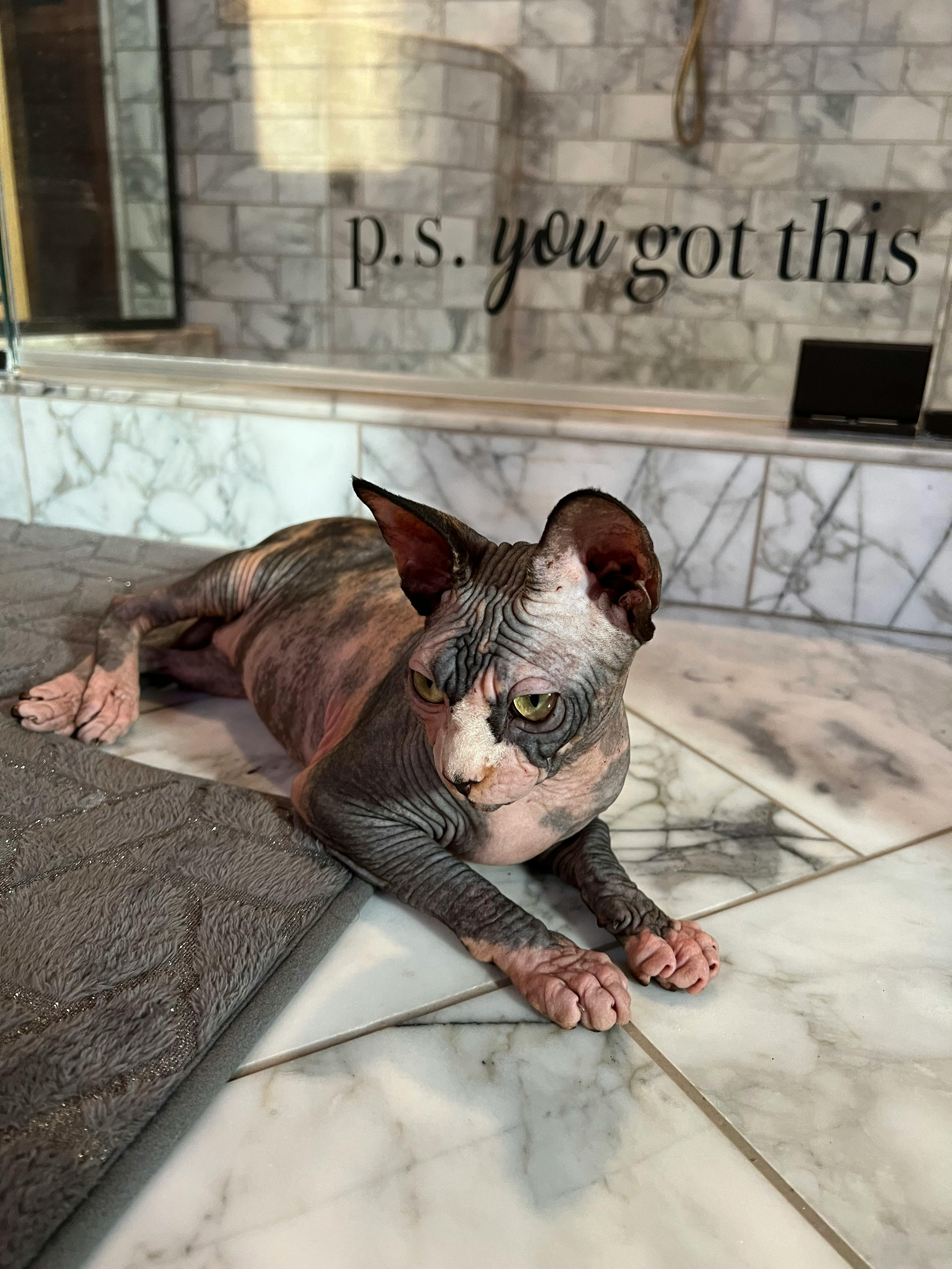 user avatar image for Landon Edwards